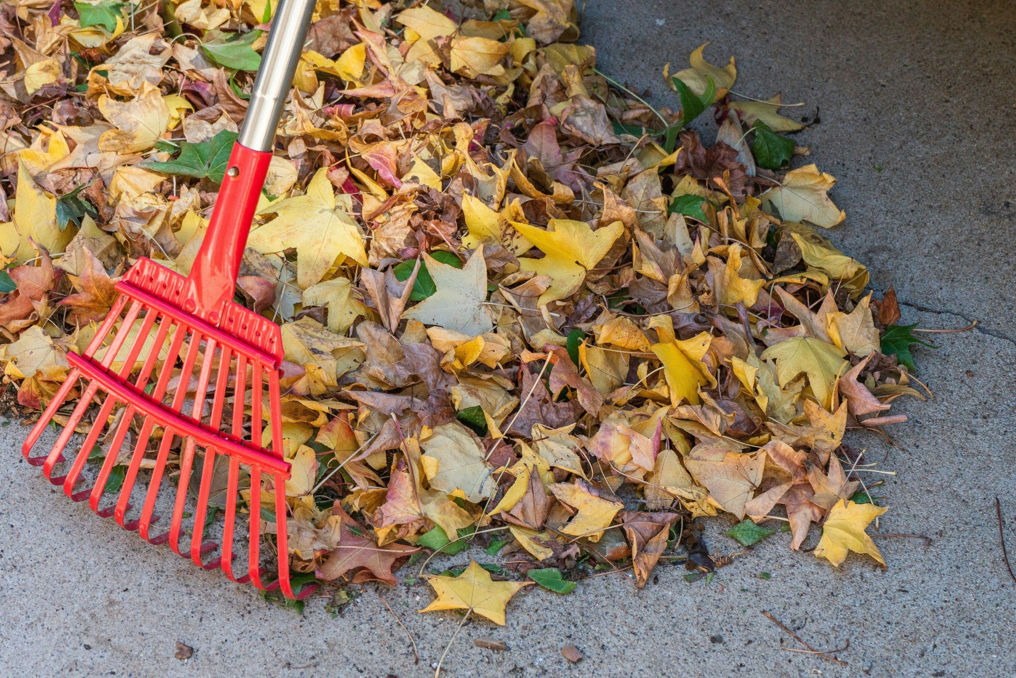 Seasonal Cleanups image