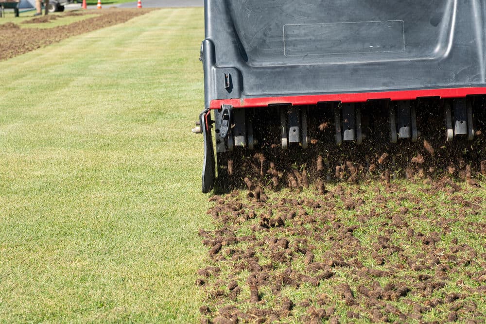 Dethatch & Aeration image