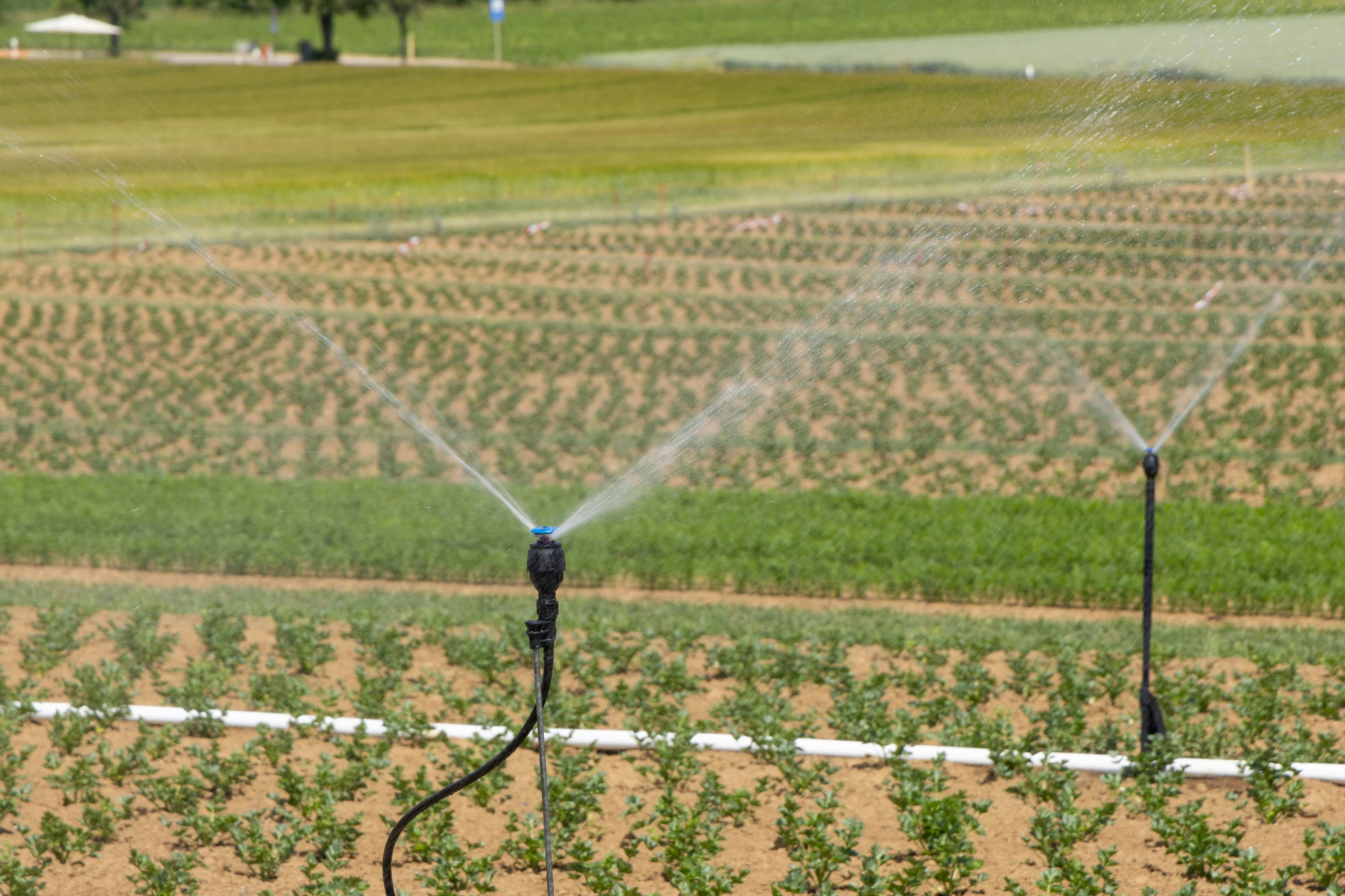 Irrigation Repair & Maintenance image