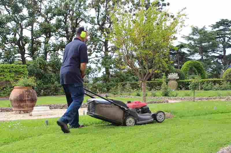 Commercial landscape maintenance image