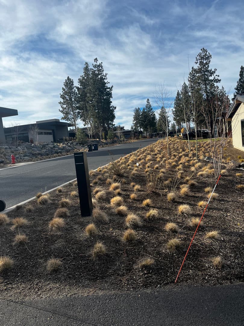 Project Lawn Perfection at Tetherow image