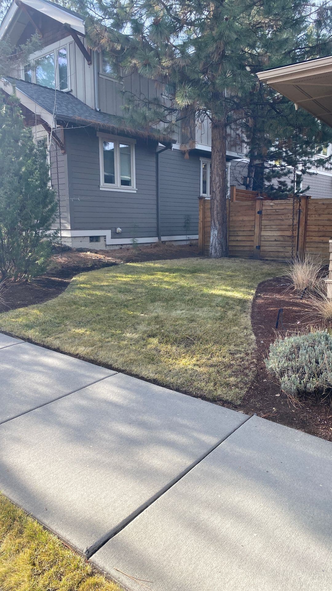 Project The Clean and Green Oasis Made by Edge Landscaping image