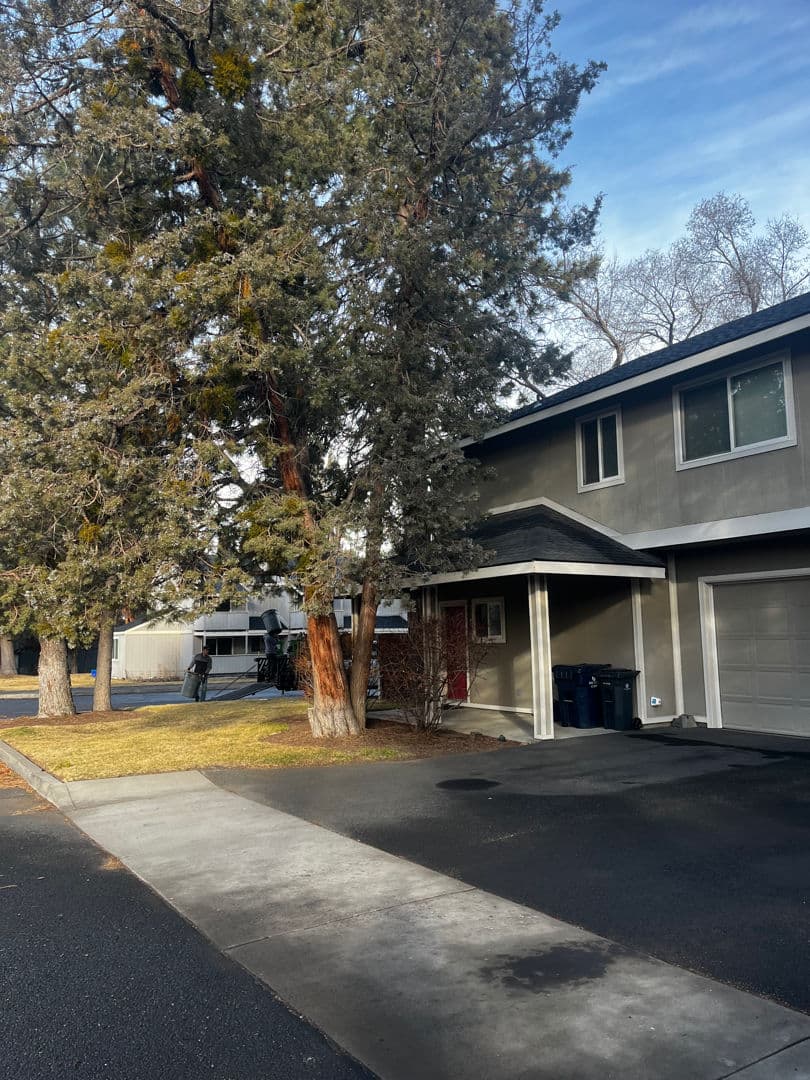 Project Enhance Your Oasis with Personalized Lawn Care by Edge Landscaping image