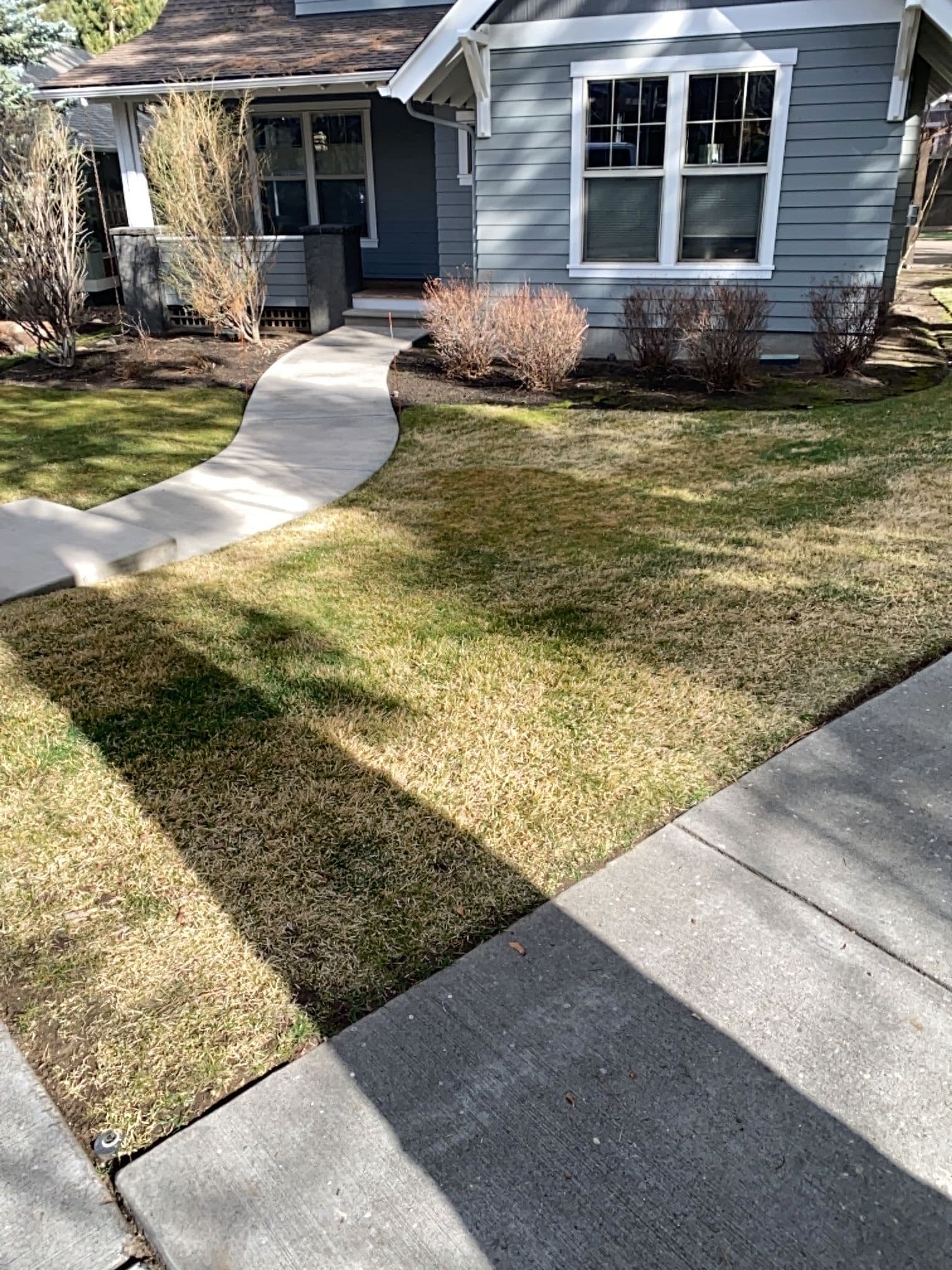 Gallery photos for Keep Your Lawn Looking Pristine with Expert Care: Image #1