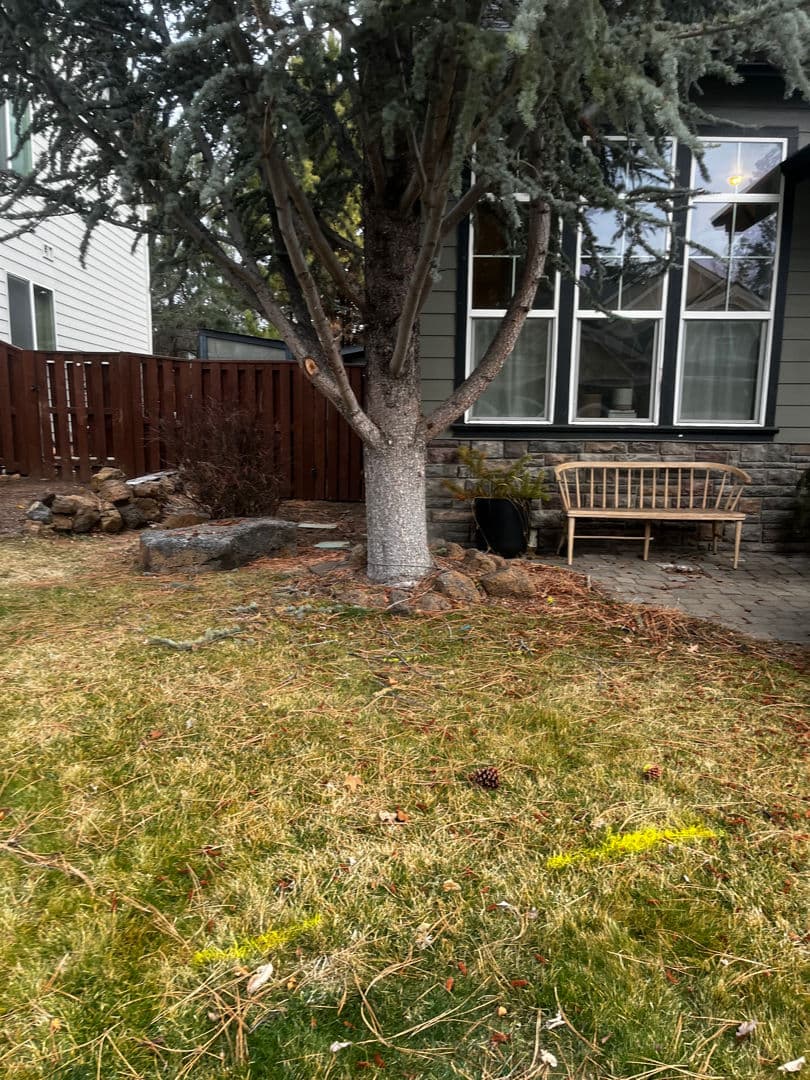 Project Backyard Cleanup with Lawn Mowing and Mulching Done Right image