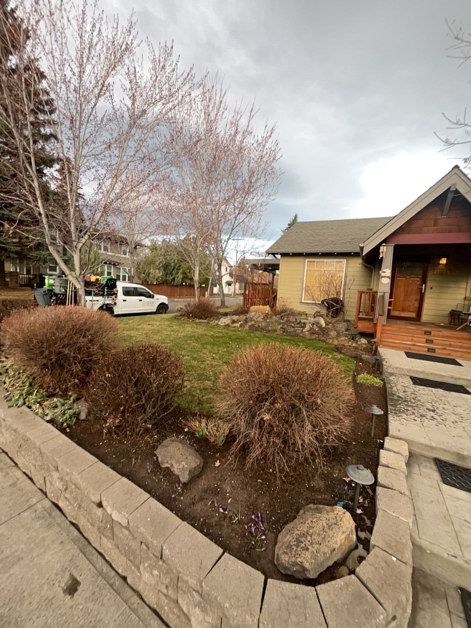 Fresh Lawn Care and Maintenance for Your Neighborhood image