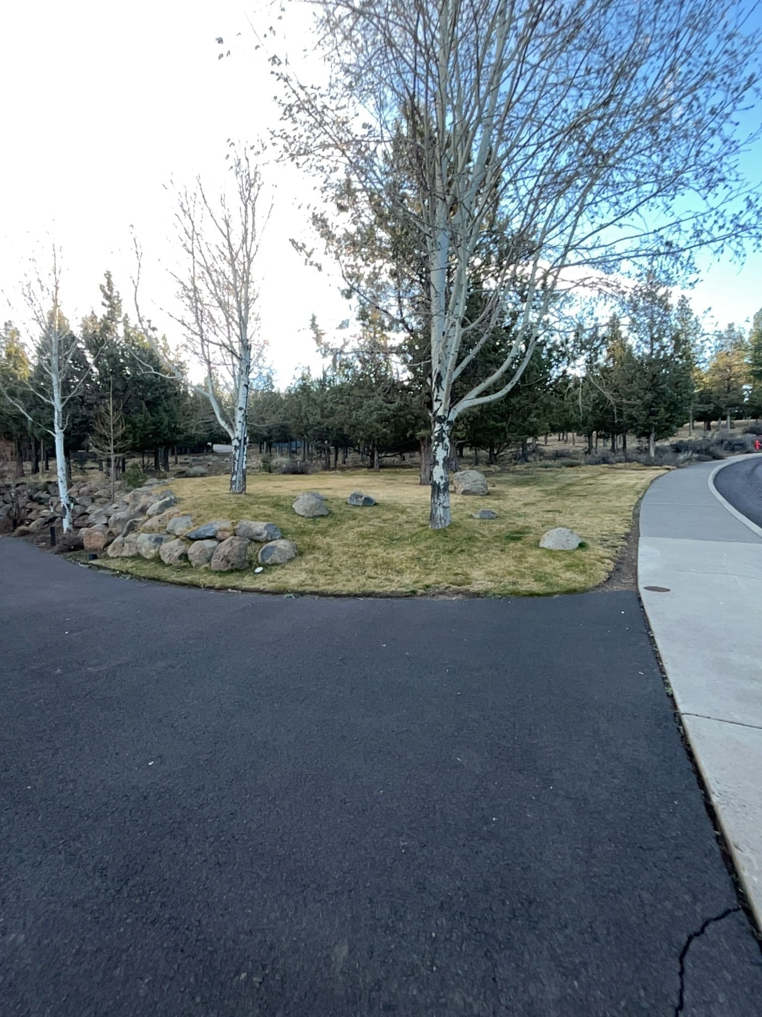 Project Creating Serene Pathways and Verdant Lawns image