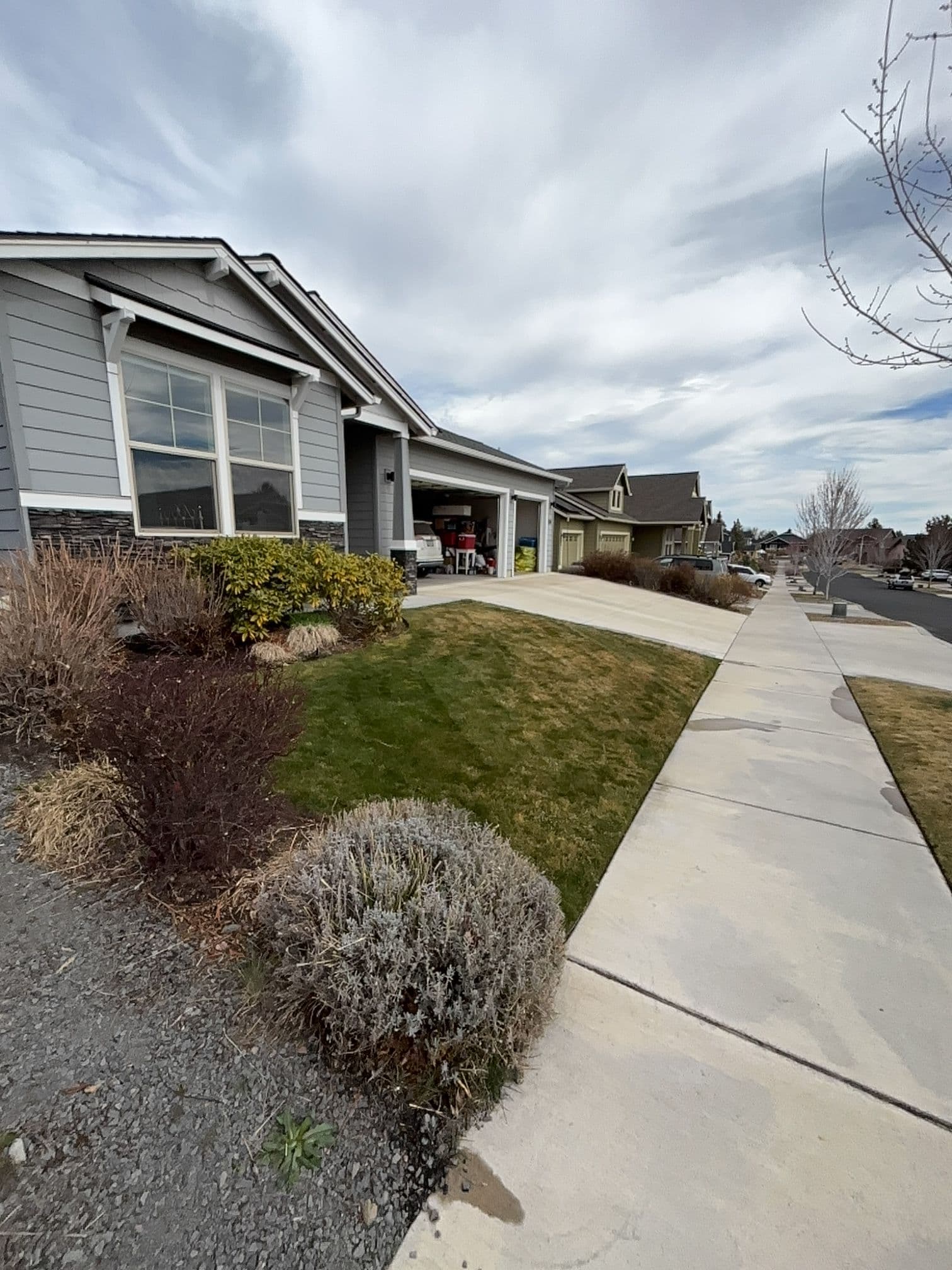 Project Transforming Outdoor Spaces with Precision Lawn Care image