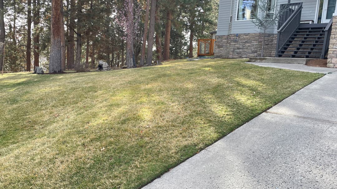 Creating Harmony Between Home and Nature with Edge Landscaping image