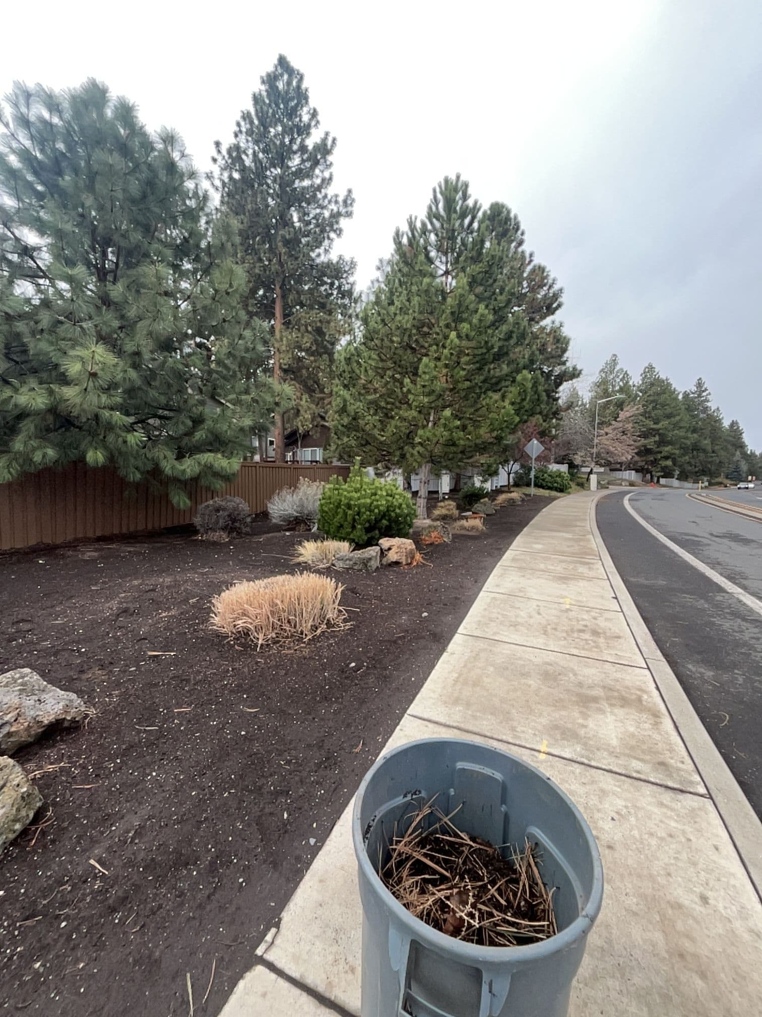 Project Spring Cleanup Underway in River West image