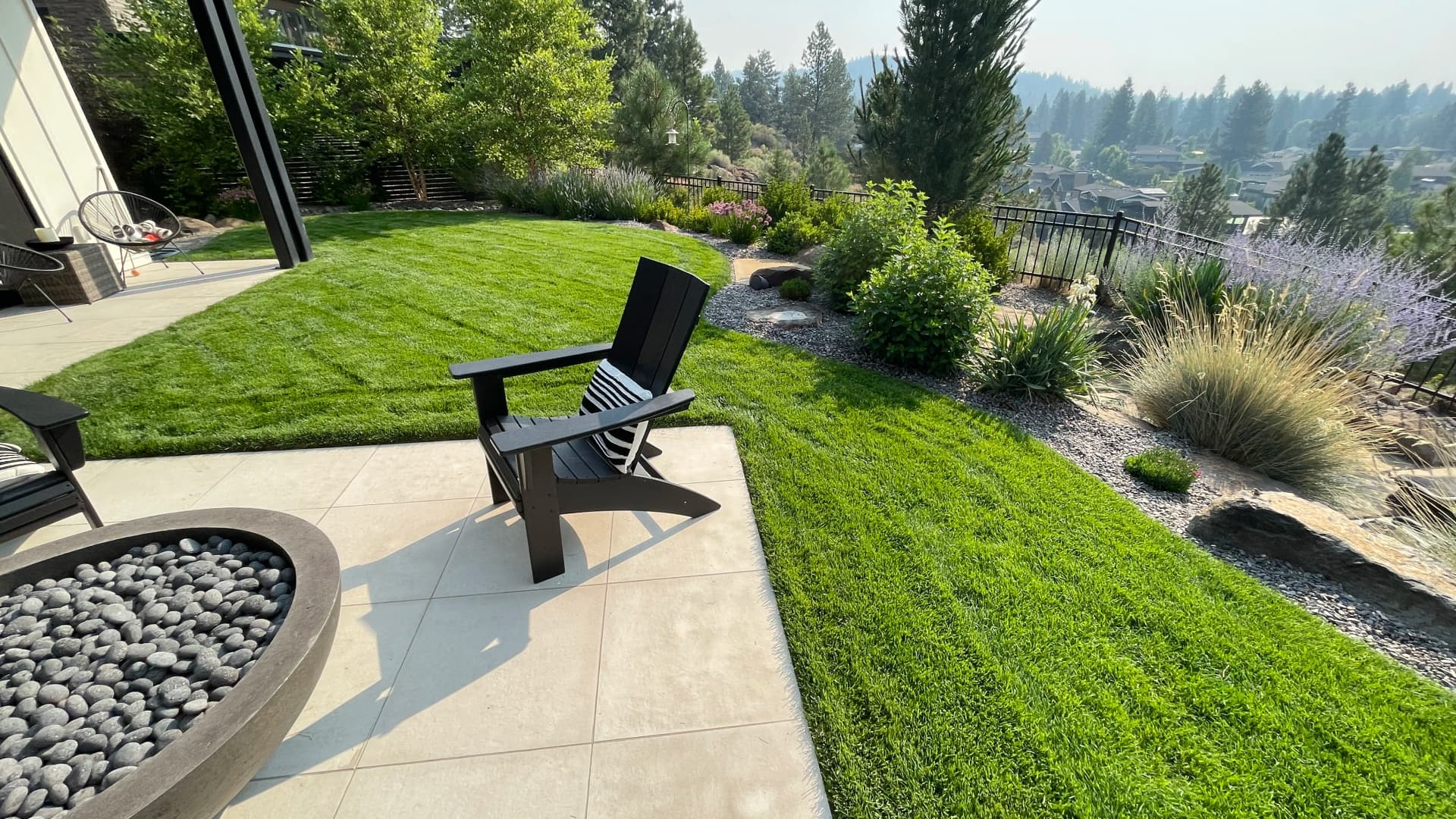 7 Reasons Ponderosa Needles Are Worse for Your Lawn Than Leaves image