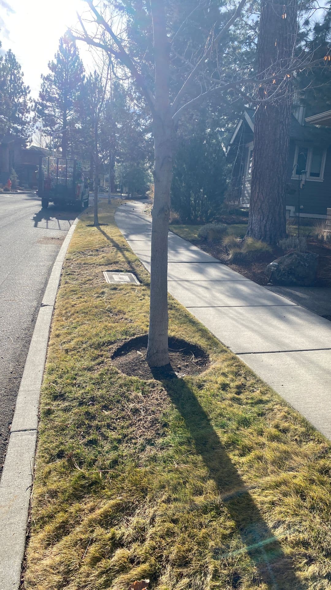 Gallery photos for The Clean and Green Oasis Made by Edge Landscaping: Image #3