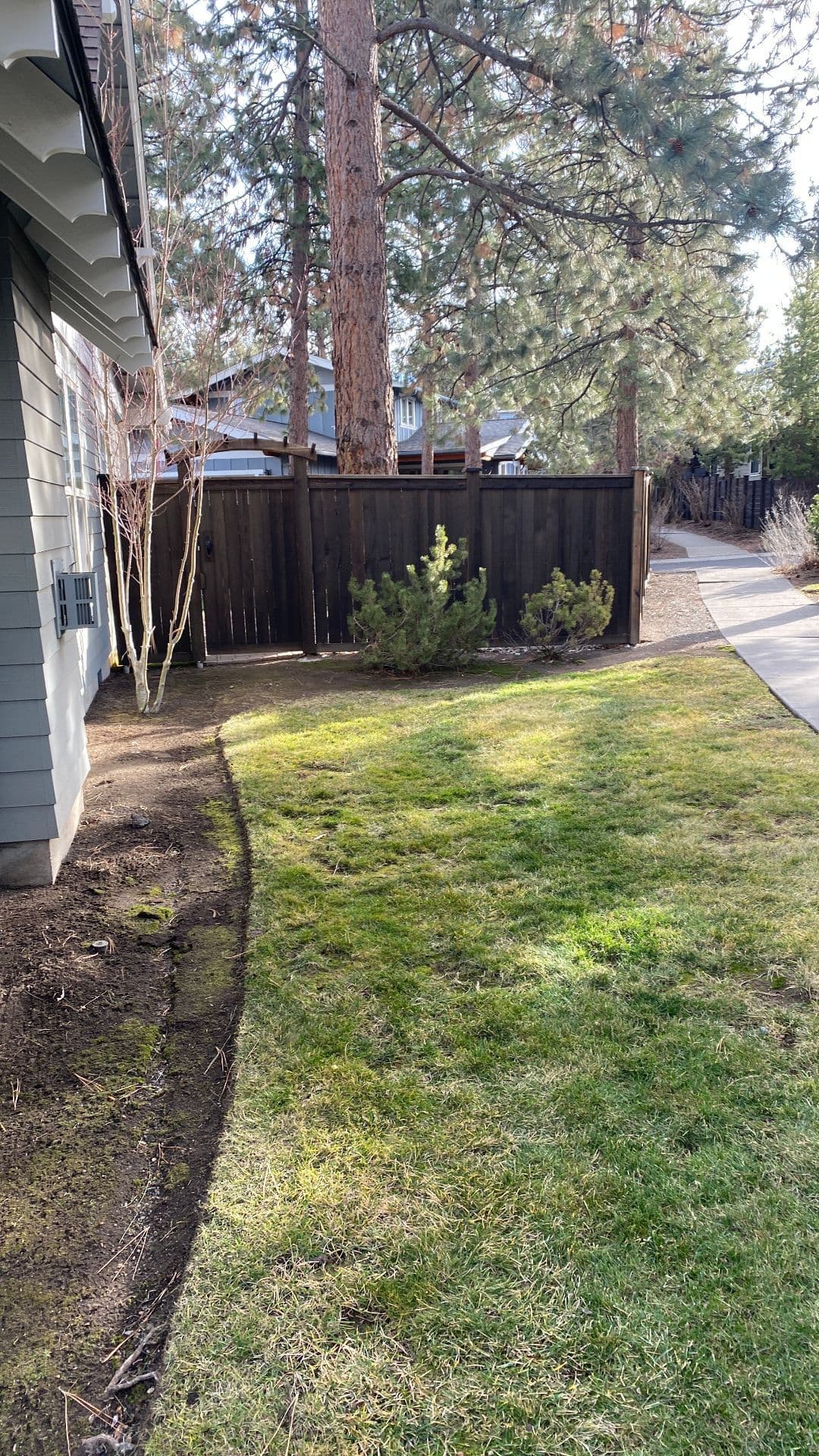 Gallery photos for The Clean and Green Oasis Made by Edge Landscaping: Image #1