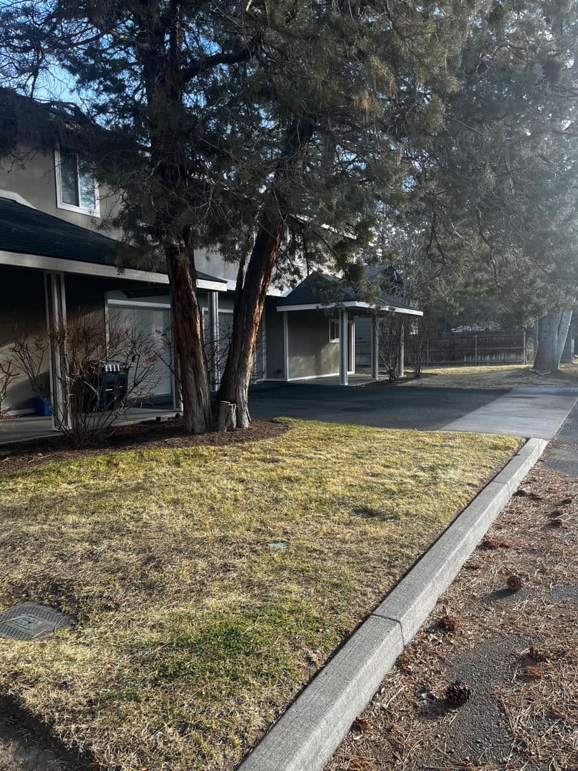 Gallery photos for Enhance Your Oasis with Personalized Lawn Care by Edge Landscaping: Image #1