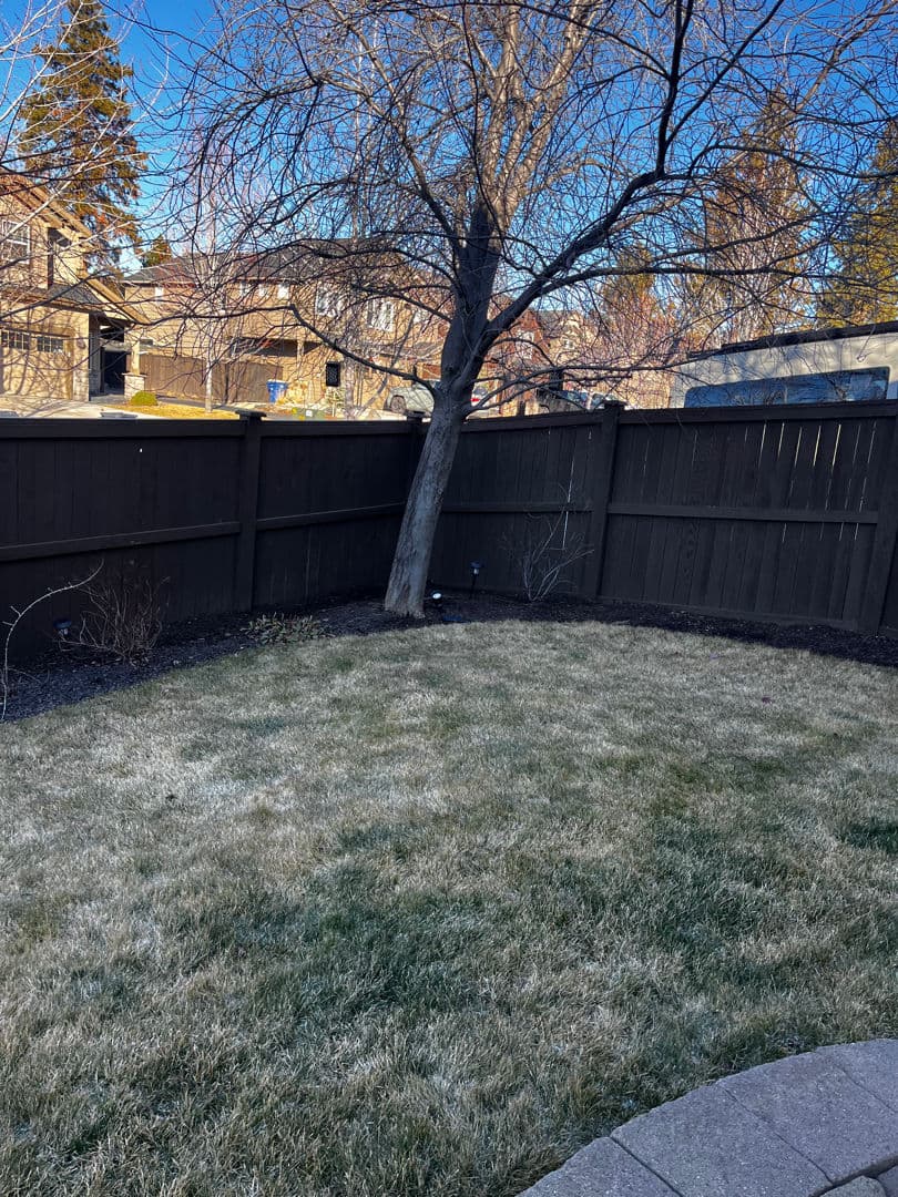 Gallery photos for Enhance Your Outdoor Space with Edge Landscaping: Image #2