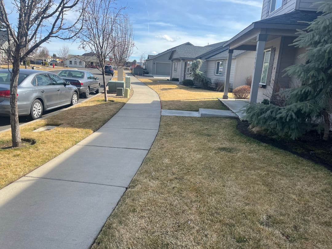 Neighborhood Curb Appeal Boost with Edge Landscaping image