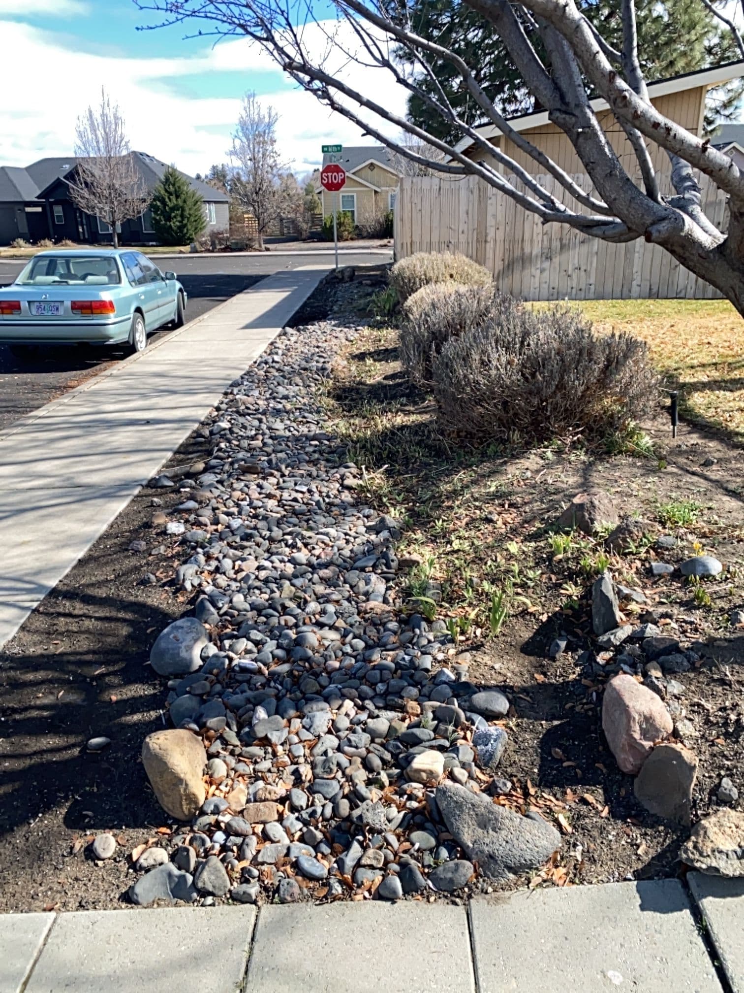 Gallery photos for Best Tips to Prepare Your Lawn for Spring: Image #2