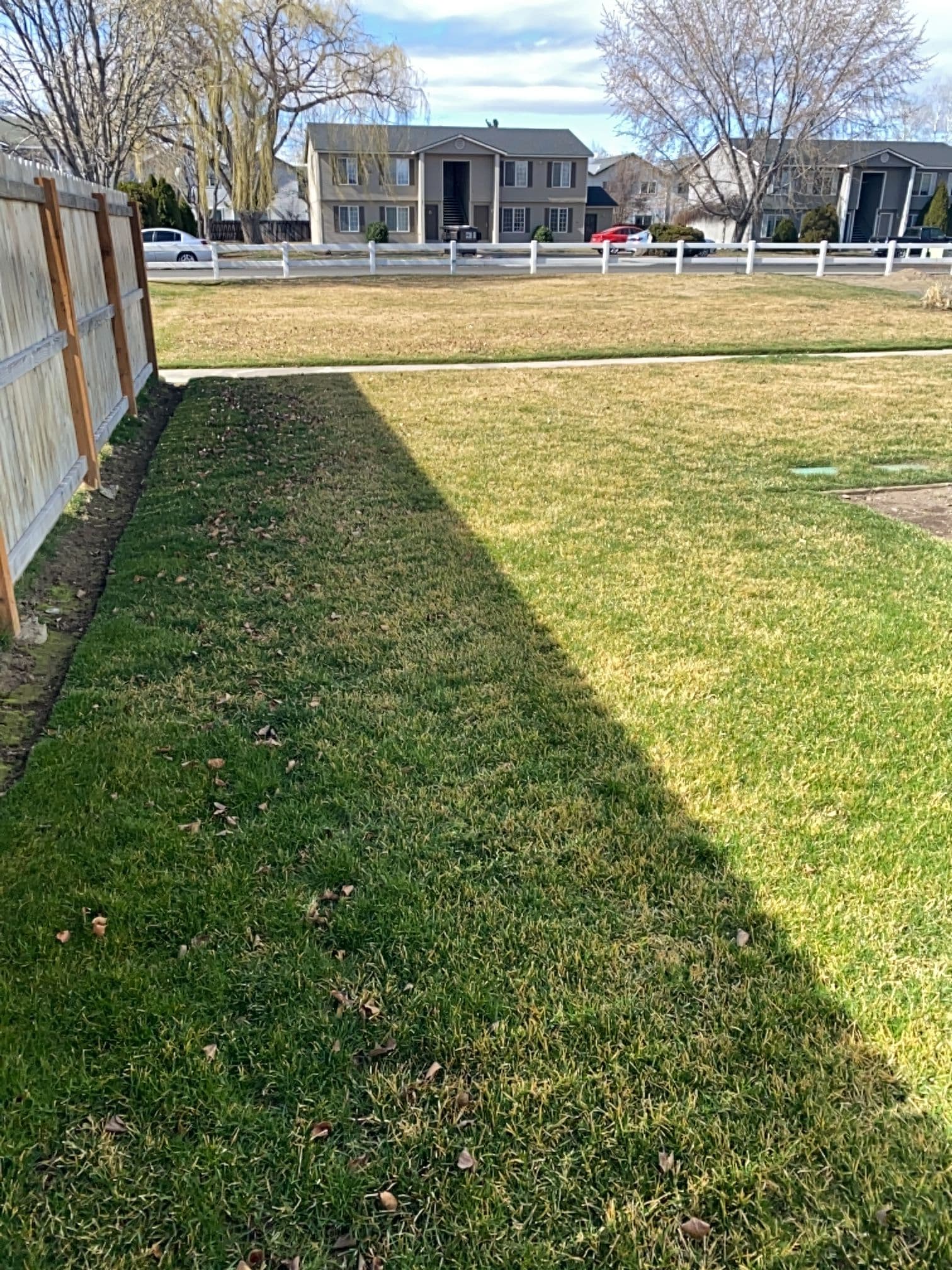 Best Tips to Prepare Your Lawn for Spring image