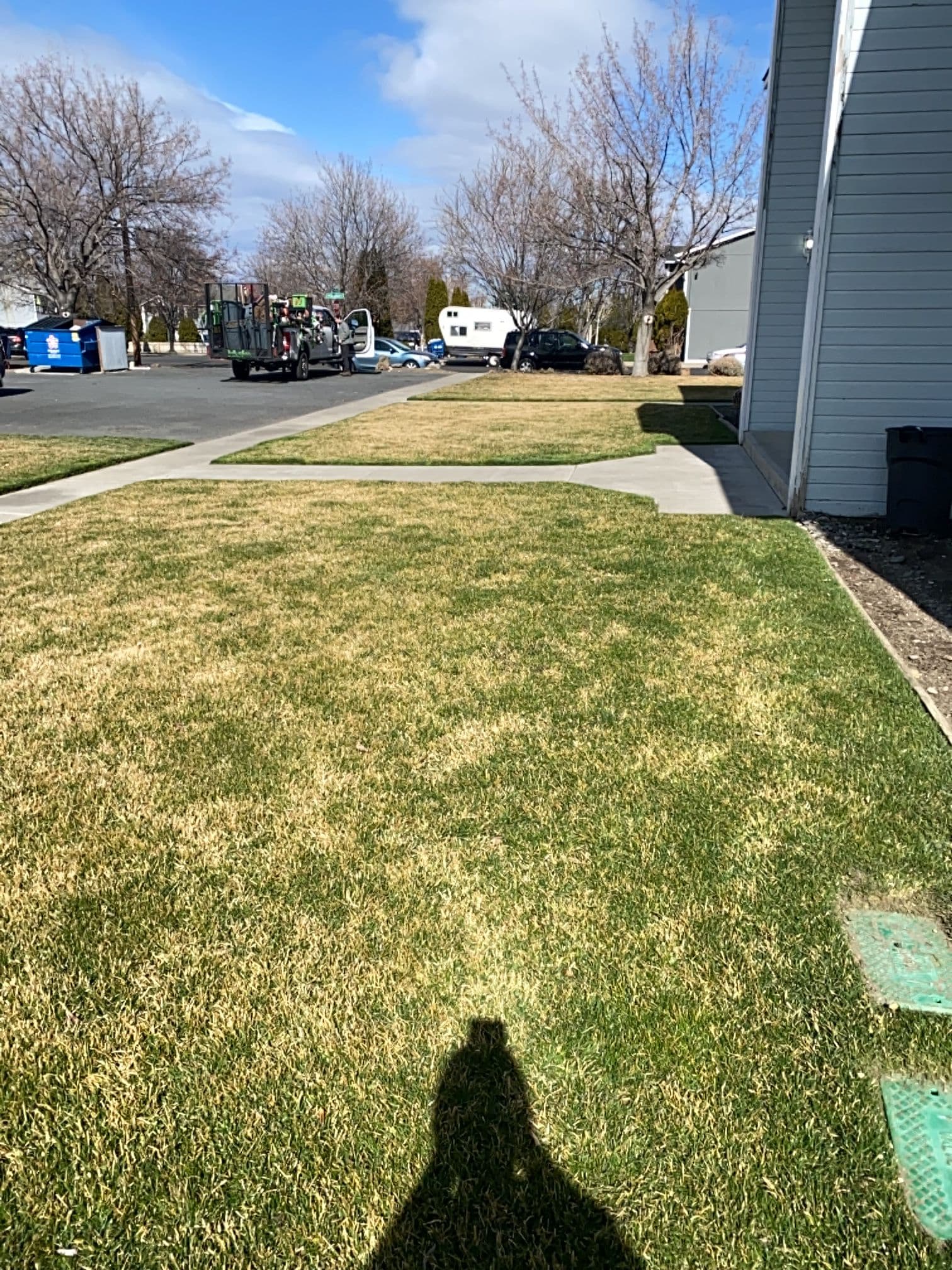 Gallery photos for Best Tips to Prepare Your Lawn for Spring: Image #1