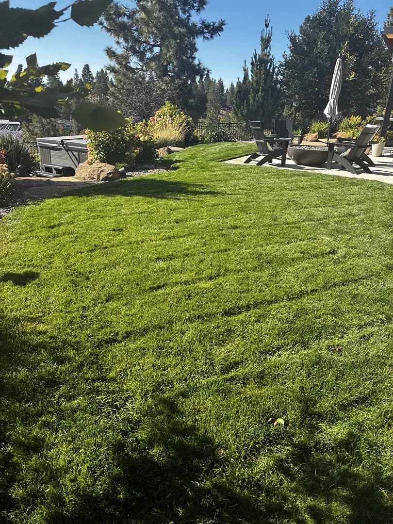 Irrigation Blow-Outs in Bend: The Complete Guide to Beating the First Freeze image