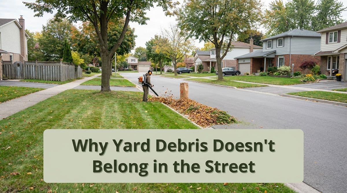 Why Yard Debris Doesn’t Belong in the Street image