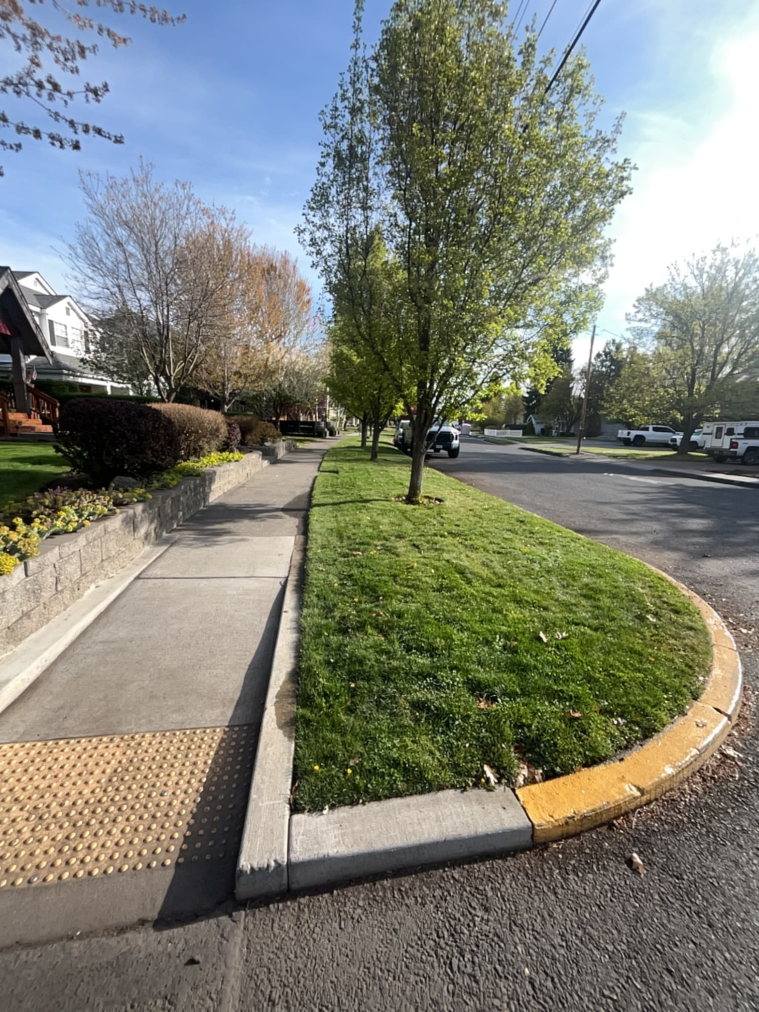 Full-Service Lawn and Landscape Maintenance in River West image