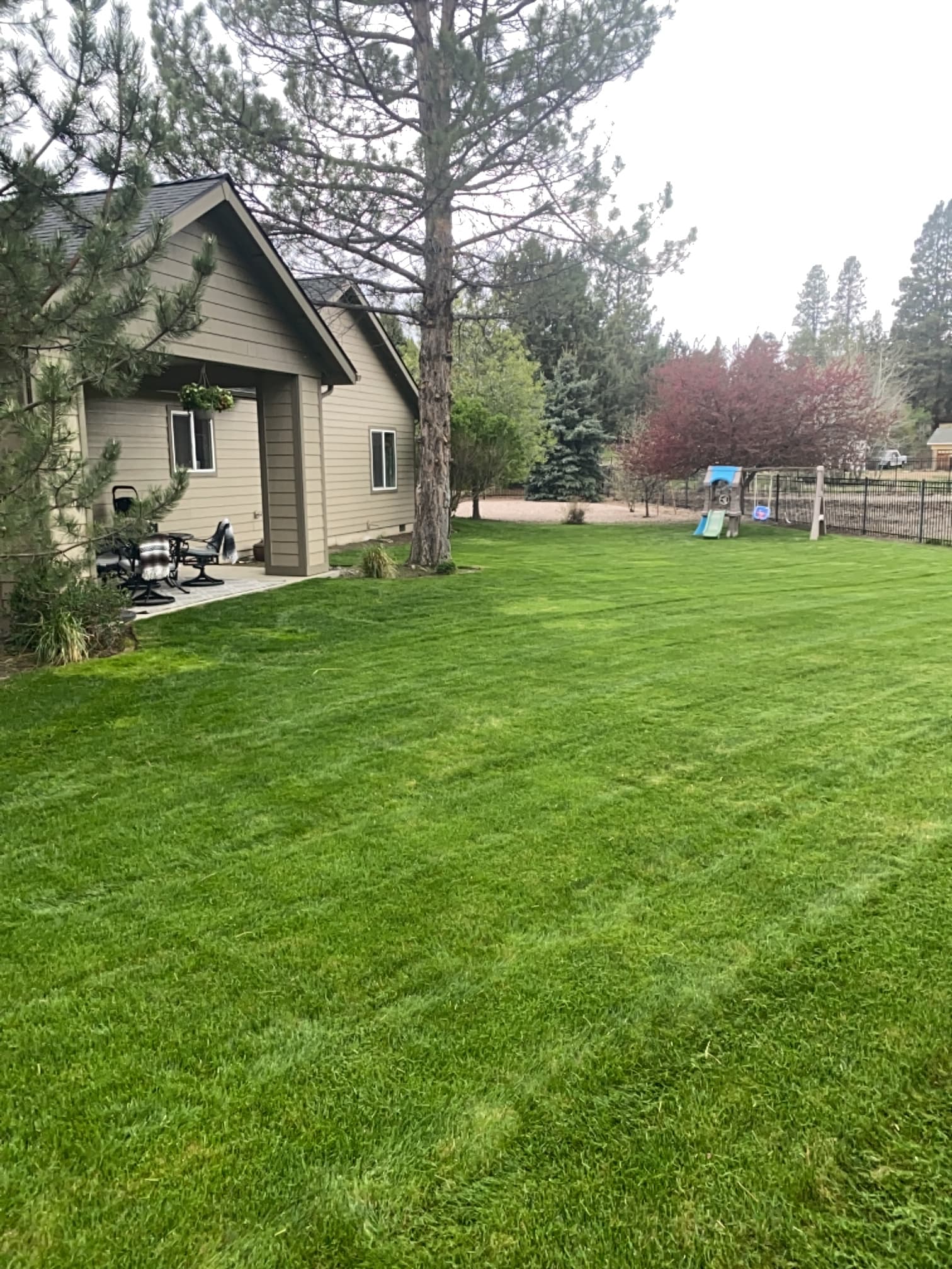 Gallery photos for Clean Cuts and Healthy Turf All Season Long: Image #1