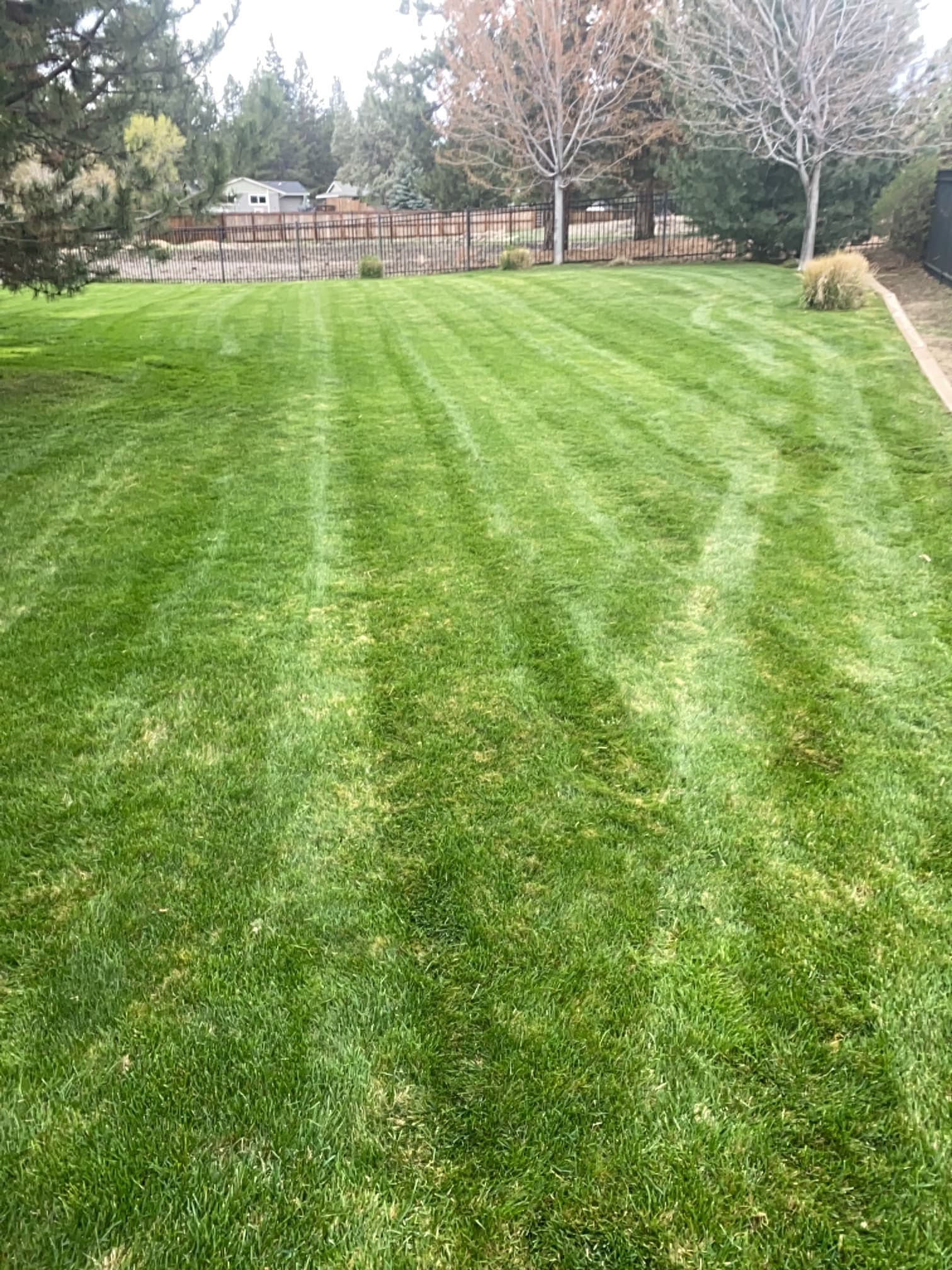 Clean Cuts and Healthy Turf All Season Long image