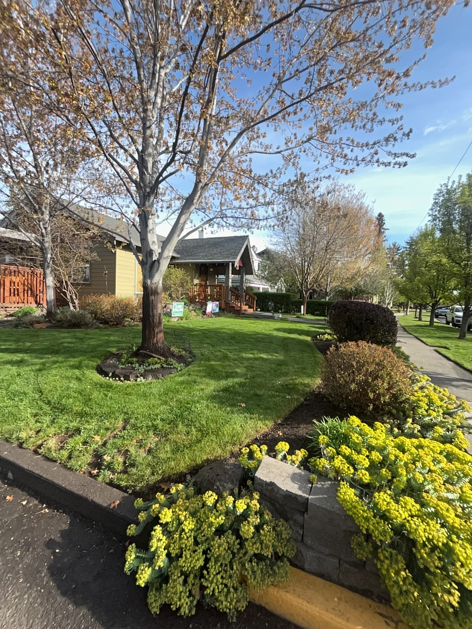 Gallery photos for Full-Service Lawn and Landscape Maintenance in River West: Image #1