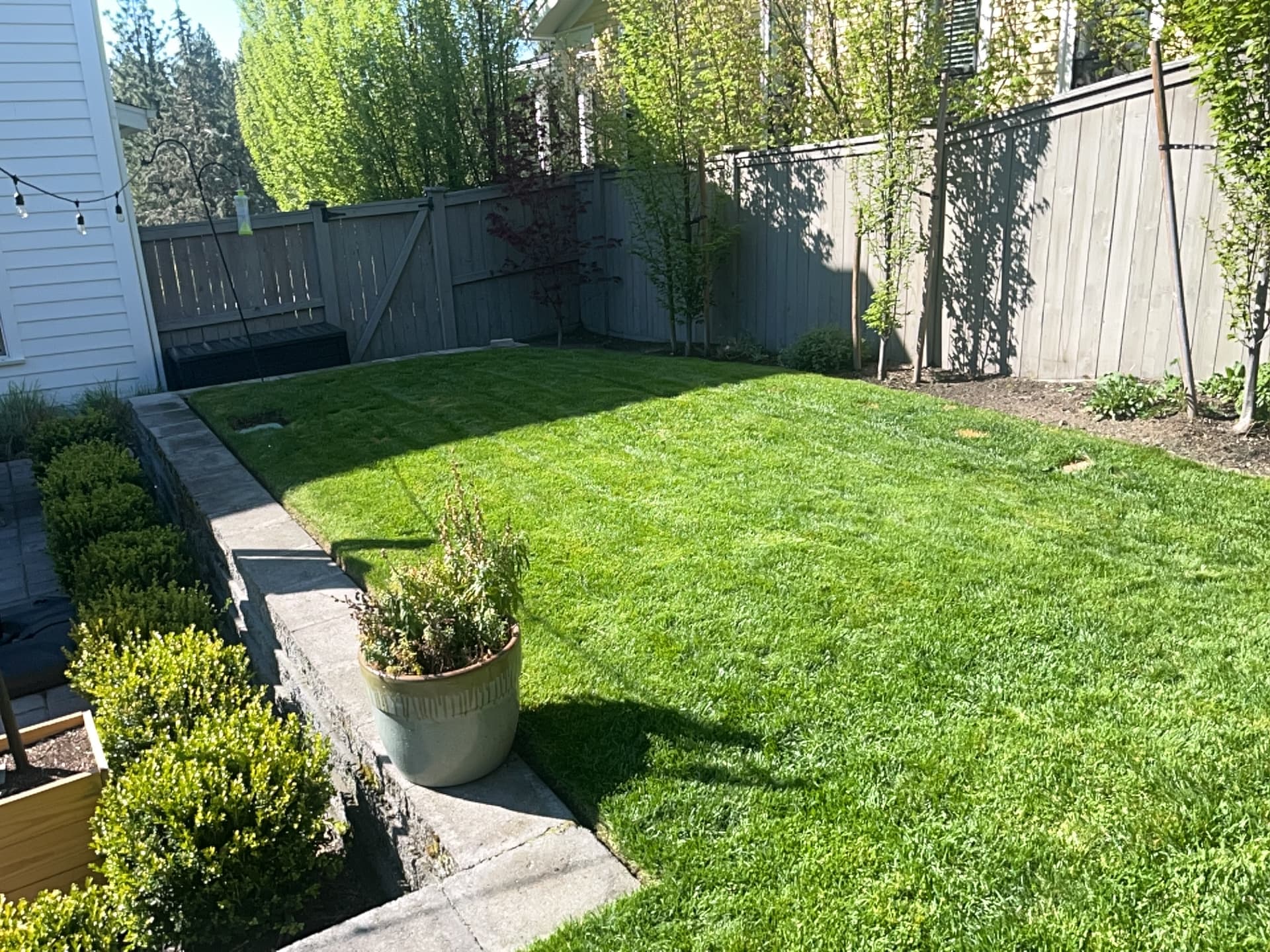 Full-Service Lawn and Landscape Maintenance in Bend's Summit West image