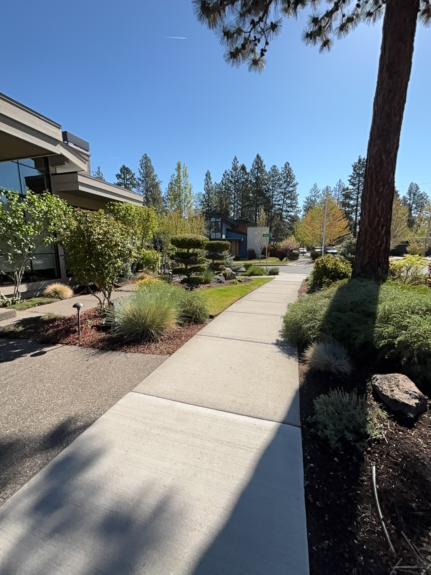 Full-Service Landscape Maintenance Keeping River West Sharp image