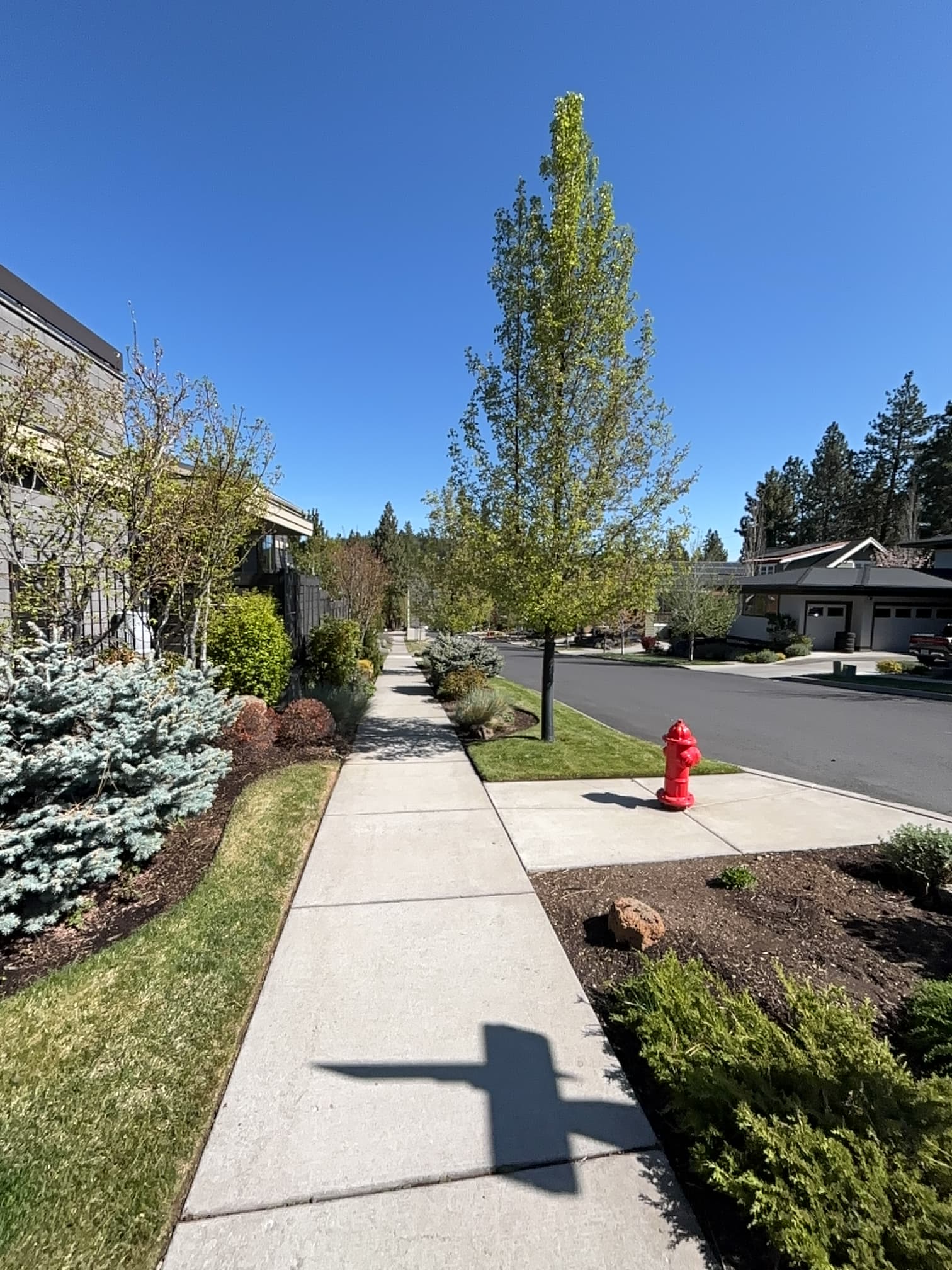 Gallery photos for Full-Service Landscape Maintenance Keeping River West Sharp: Image #1