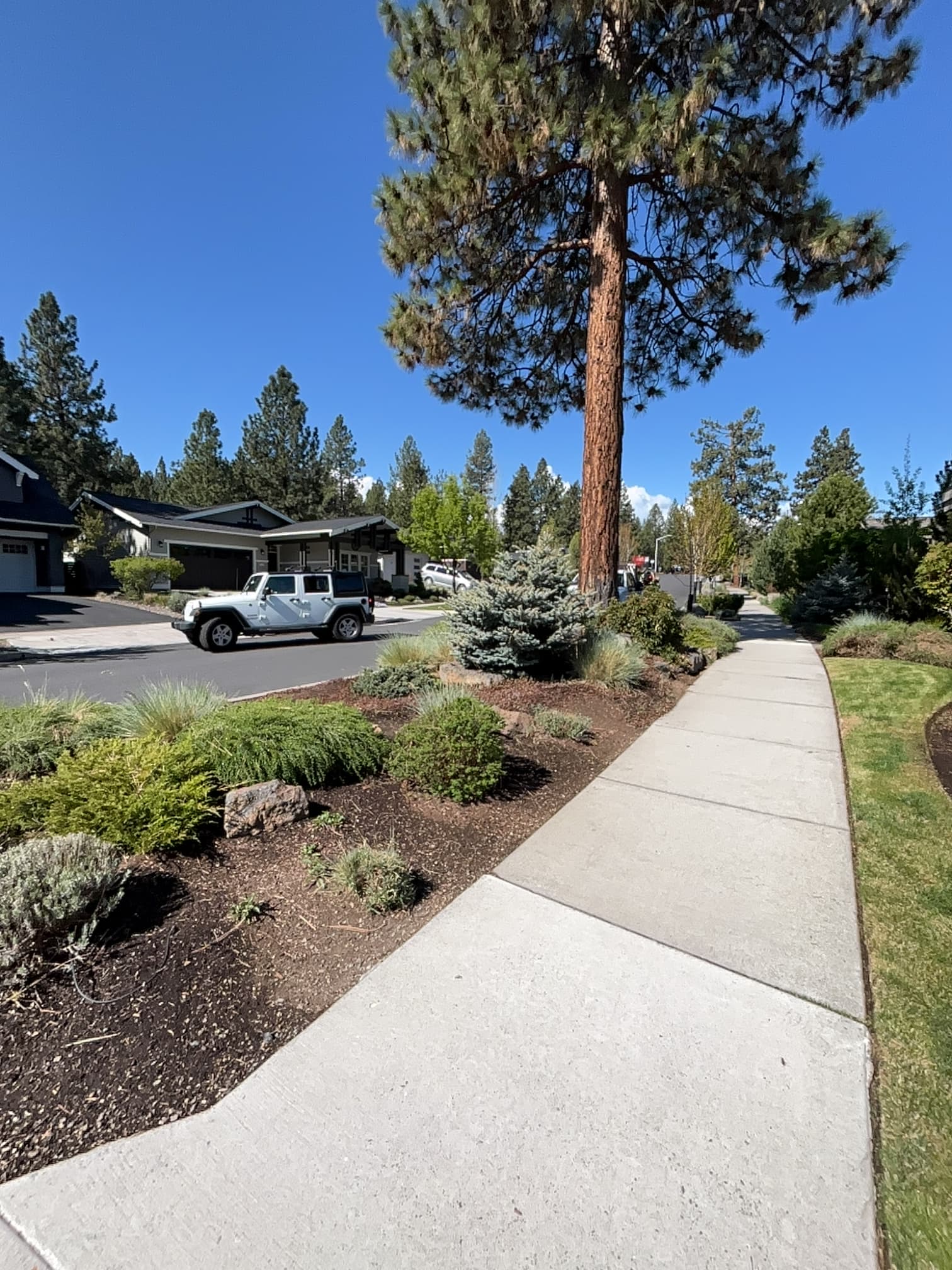 Gallery photos for Full-Service Landscape Maintenance Keeping River West Sharp: Image #2