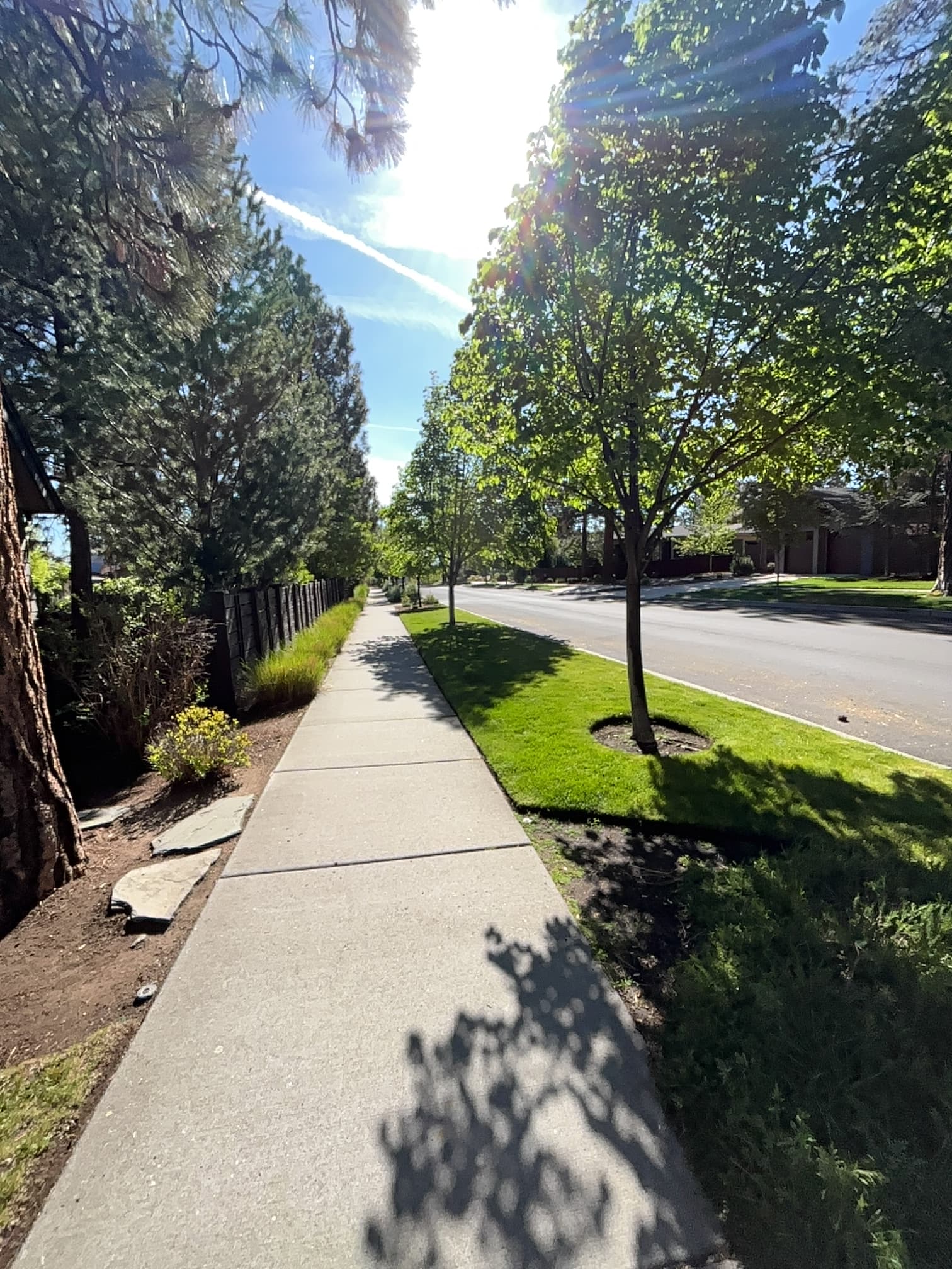 Full-Service Lawn Maintenance at Summit West Done Right image