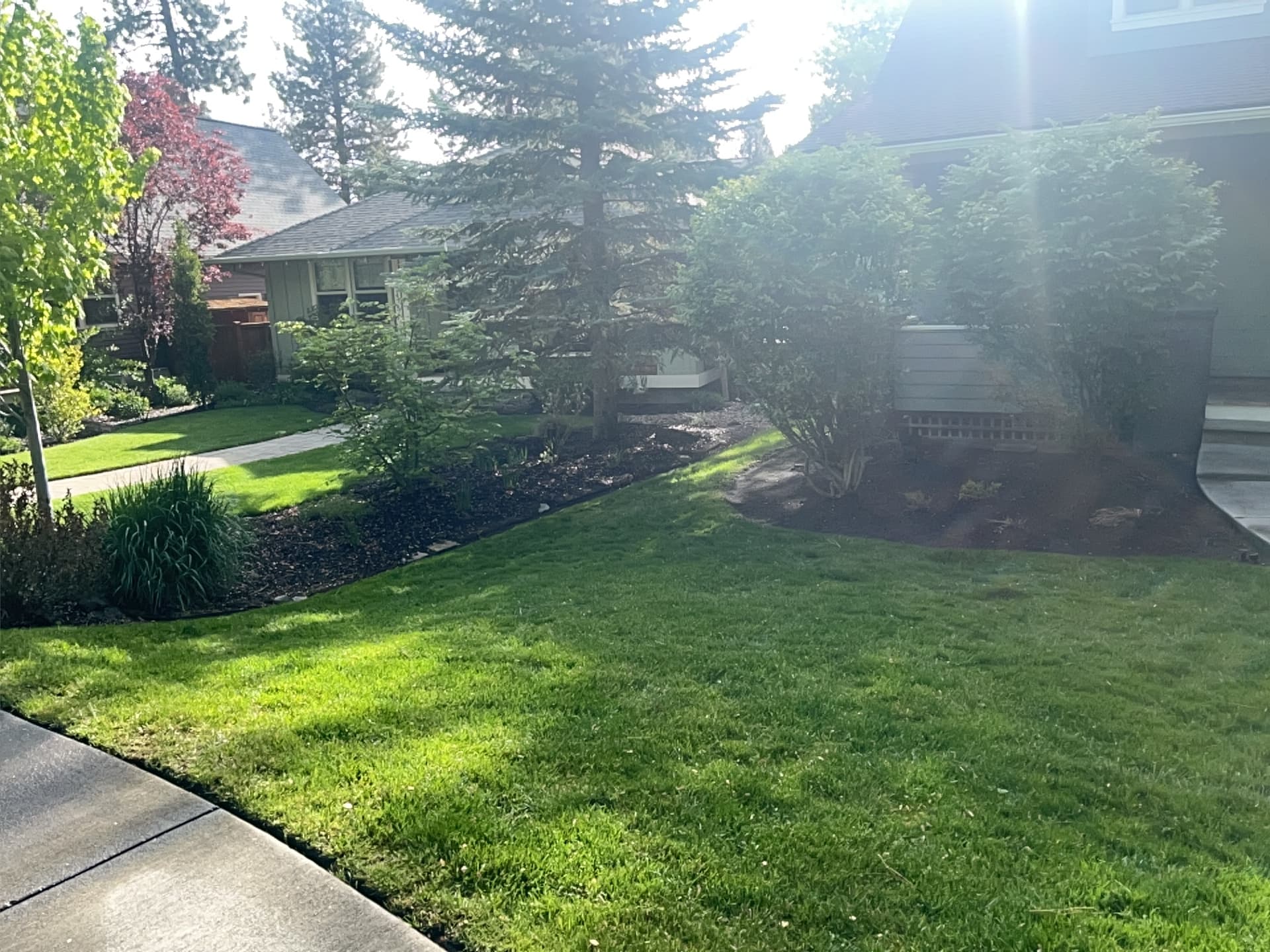 Full Lawn Care Service Done Right at Summit West image
