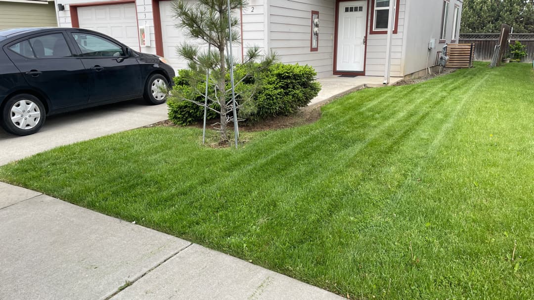 Gallery photos for Fresh Cut Lawn Mowing Done Right in Bend Oregon: Image #2