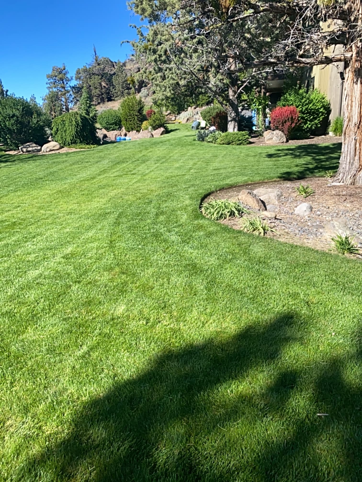 Gallery photos for Crisp Stripes and Lush Green Lawns Done Right: Image #1