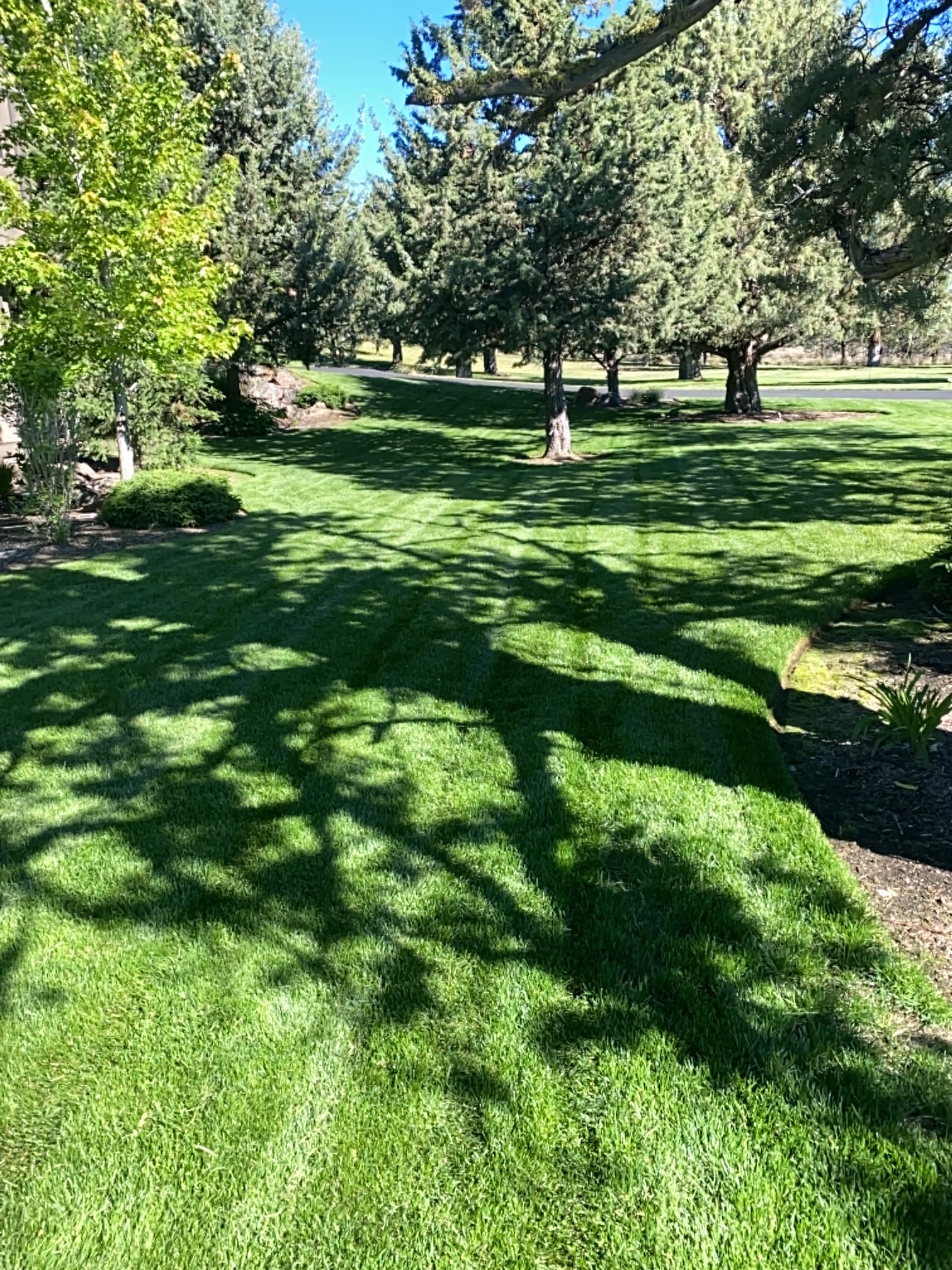 Gallery photos for Crisp Stripes and Lush Green Lawns Done Right: Image #2