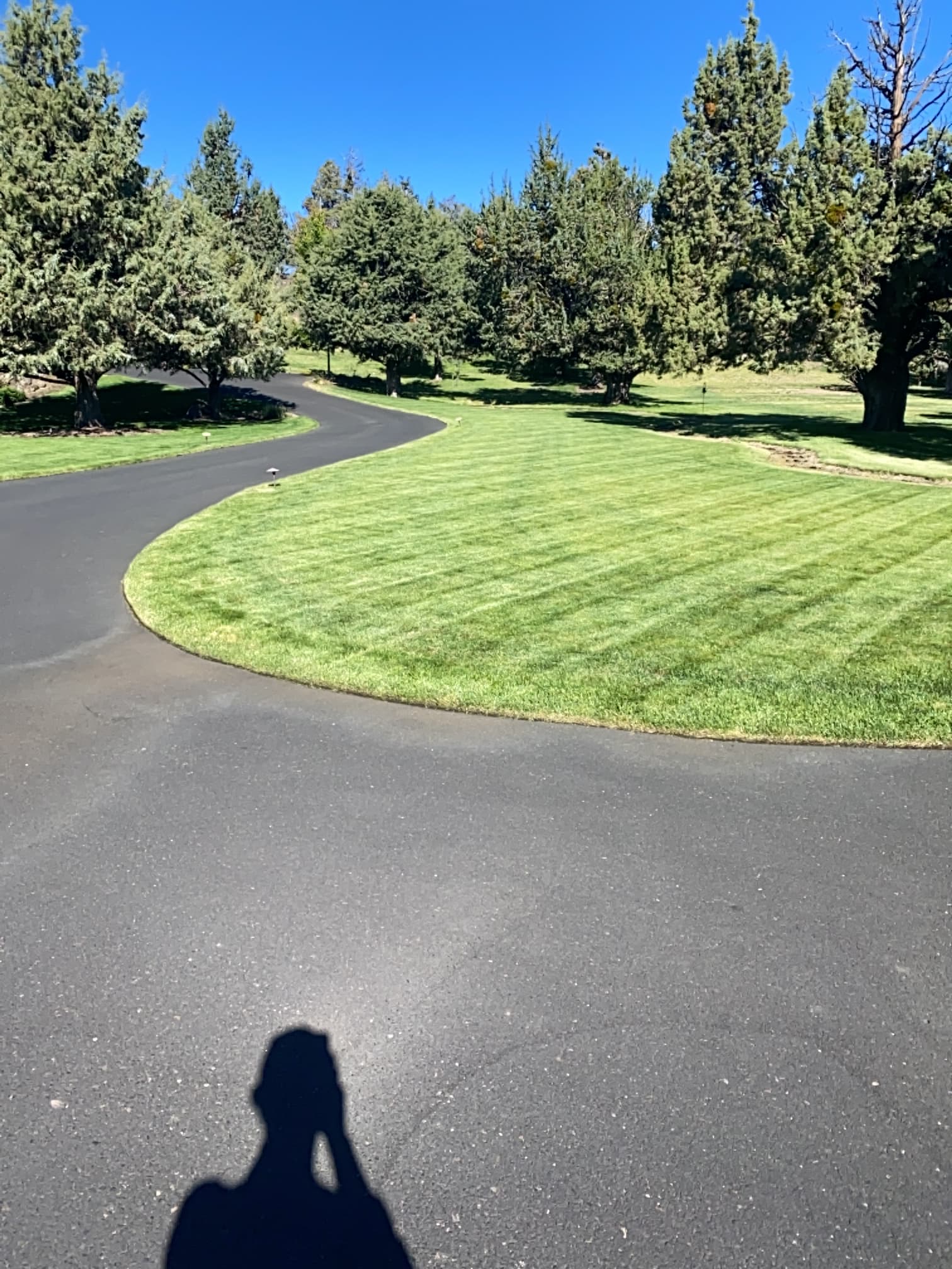 Crisp Stripes and Lush Green Lawns Done Right image