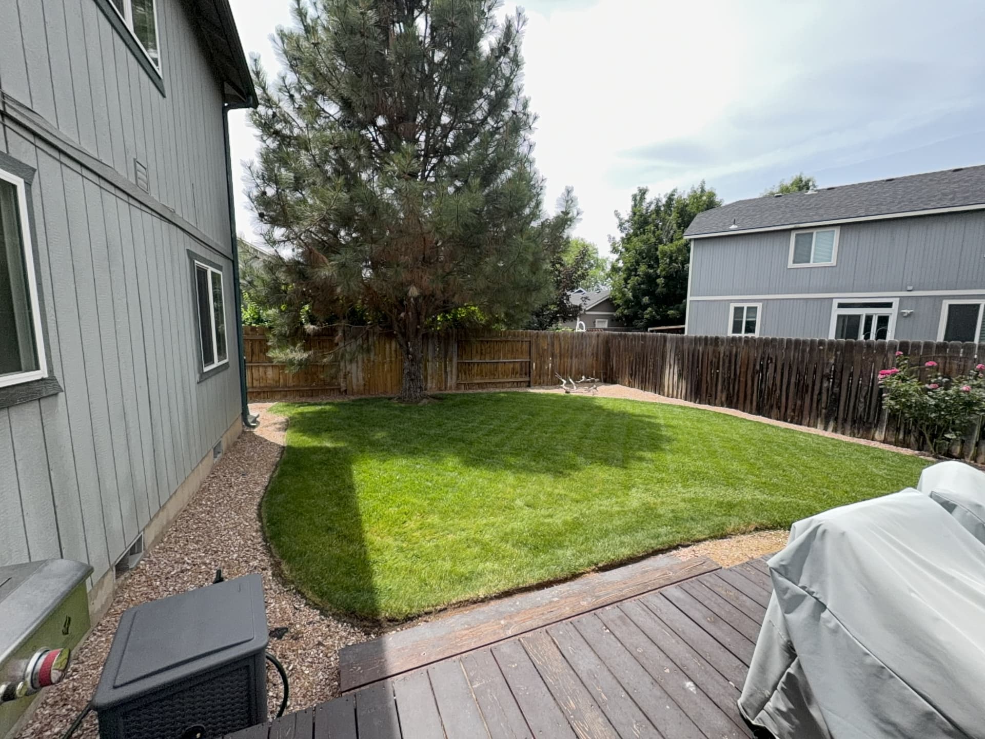 Gallery photos for Clean Lawns and Sharp Beds in Redmond Oregon: Image #1