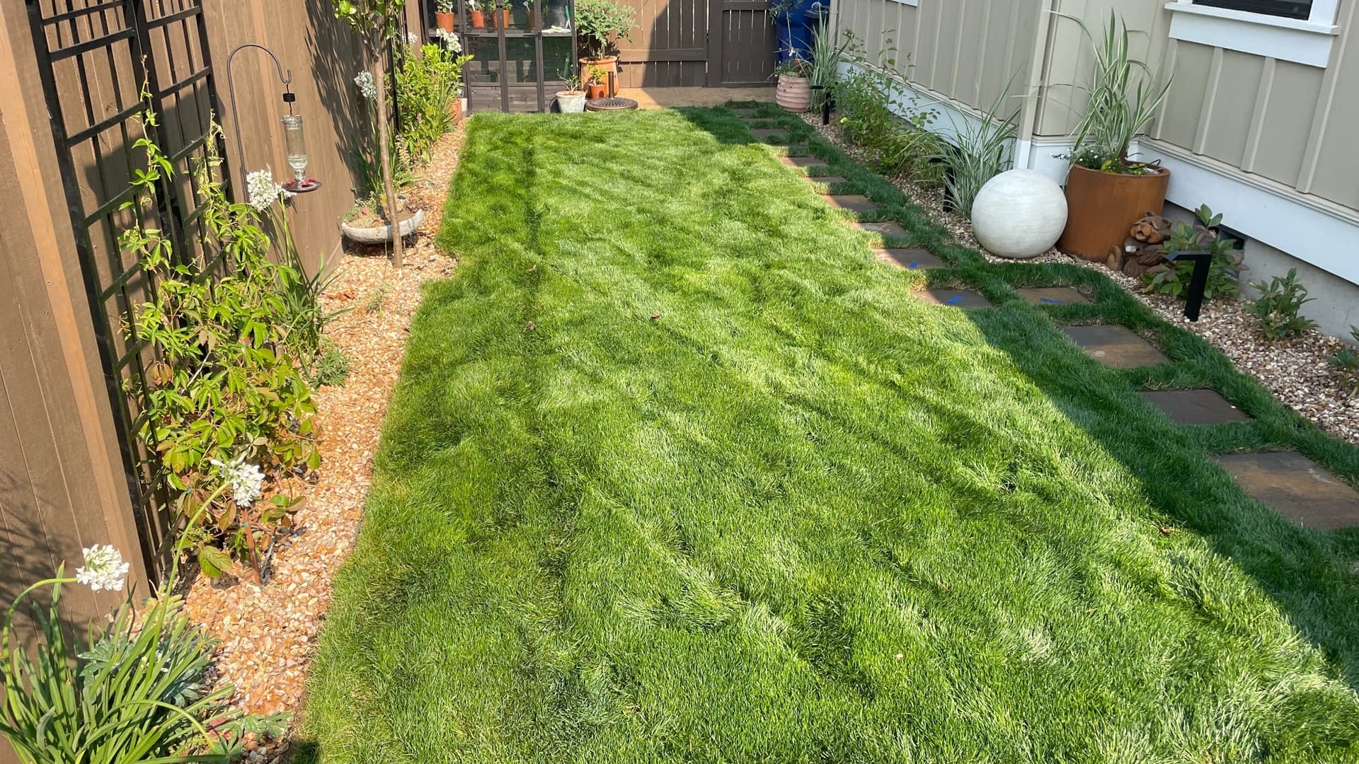 Fresh Mulch and Healthy Lawns That Make Properties Stand Out image