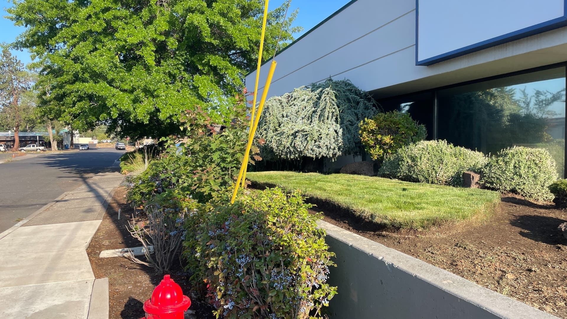 Commercial Landscape Maintenance That Keeps Bend Properties Looking Sharp image