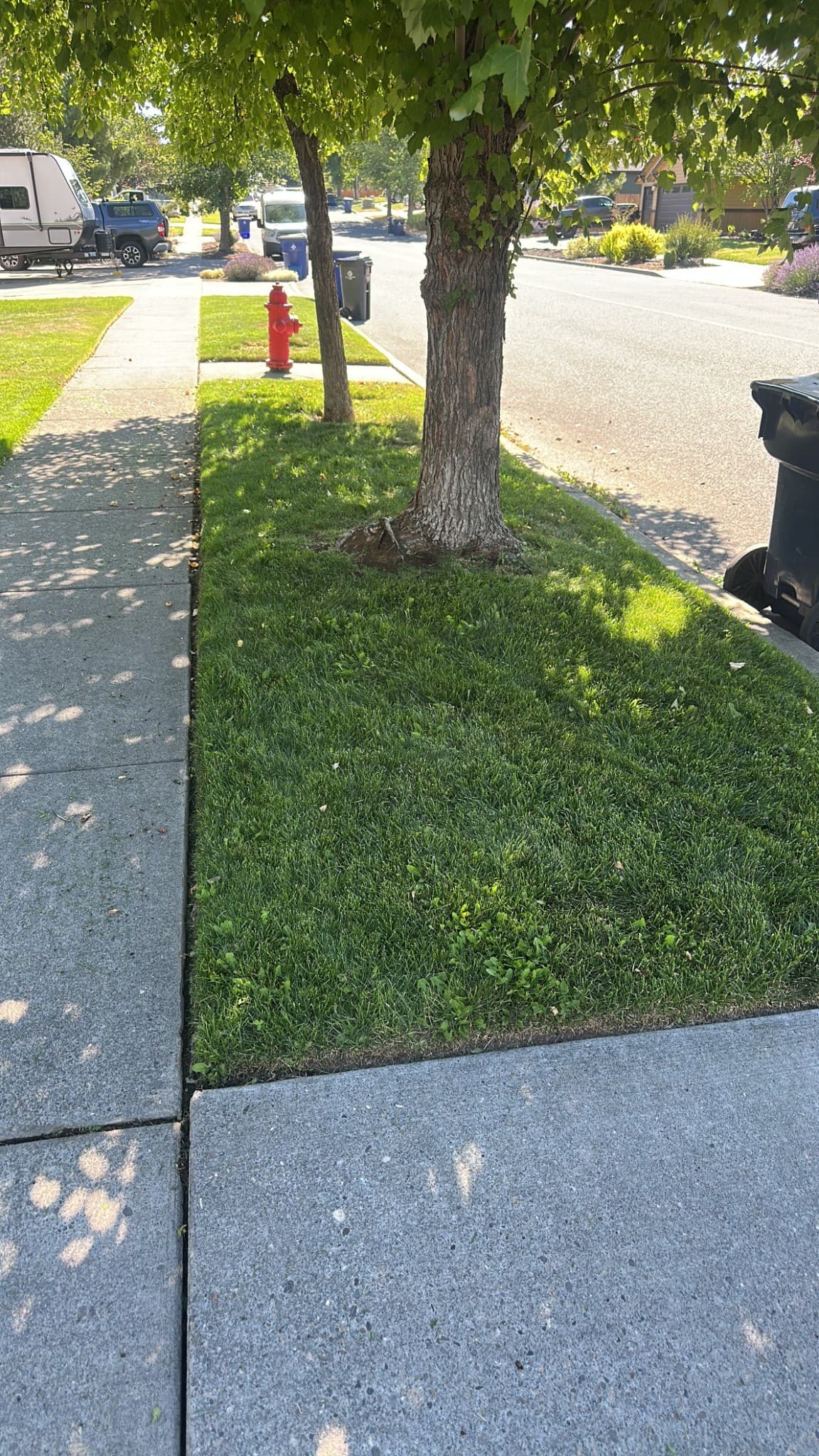 Bend Oregon Lawn Maintenance Done Right Every Time image