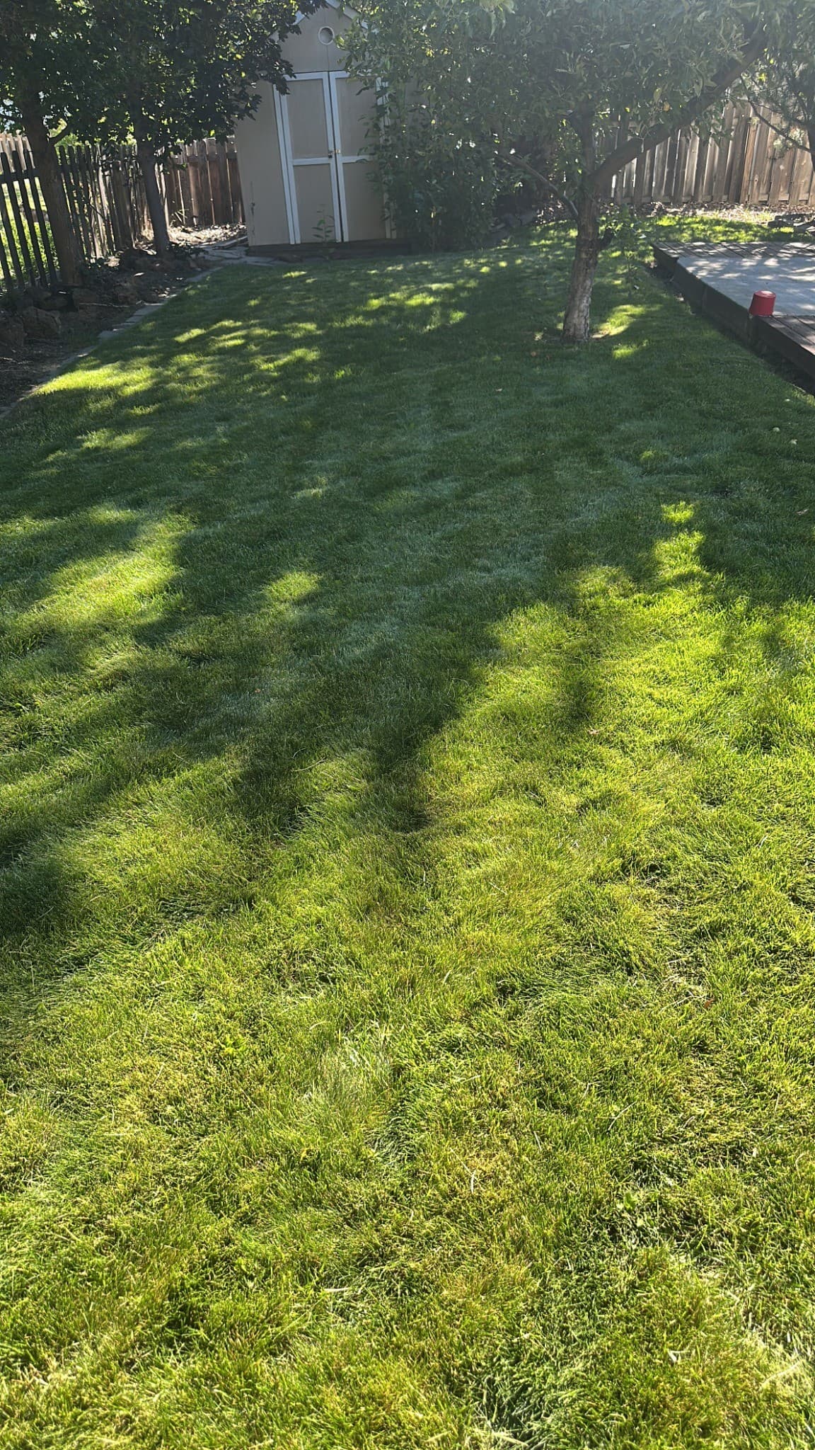 Gallery photos for Bend Oregon Lawn Maintenance Done Right Every Time: Image #1