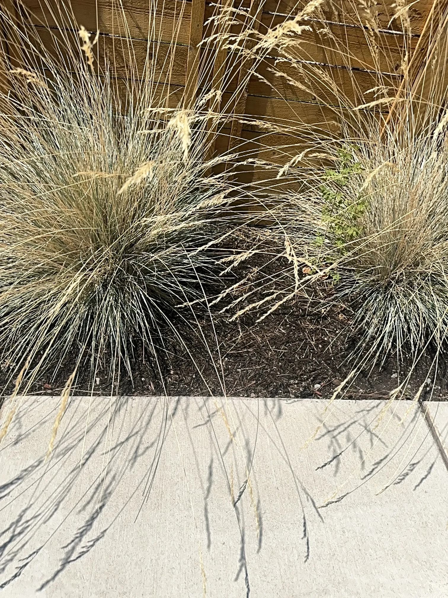 Gallery photos for Landscape Maintenance Across Bend Oregon Homes and Neighborhoods: Image #2