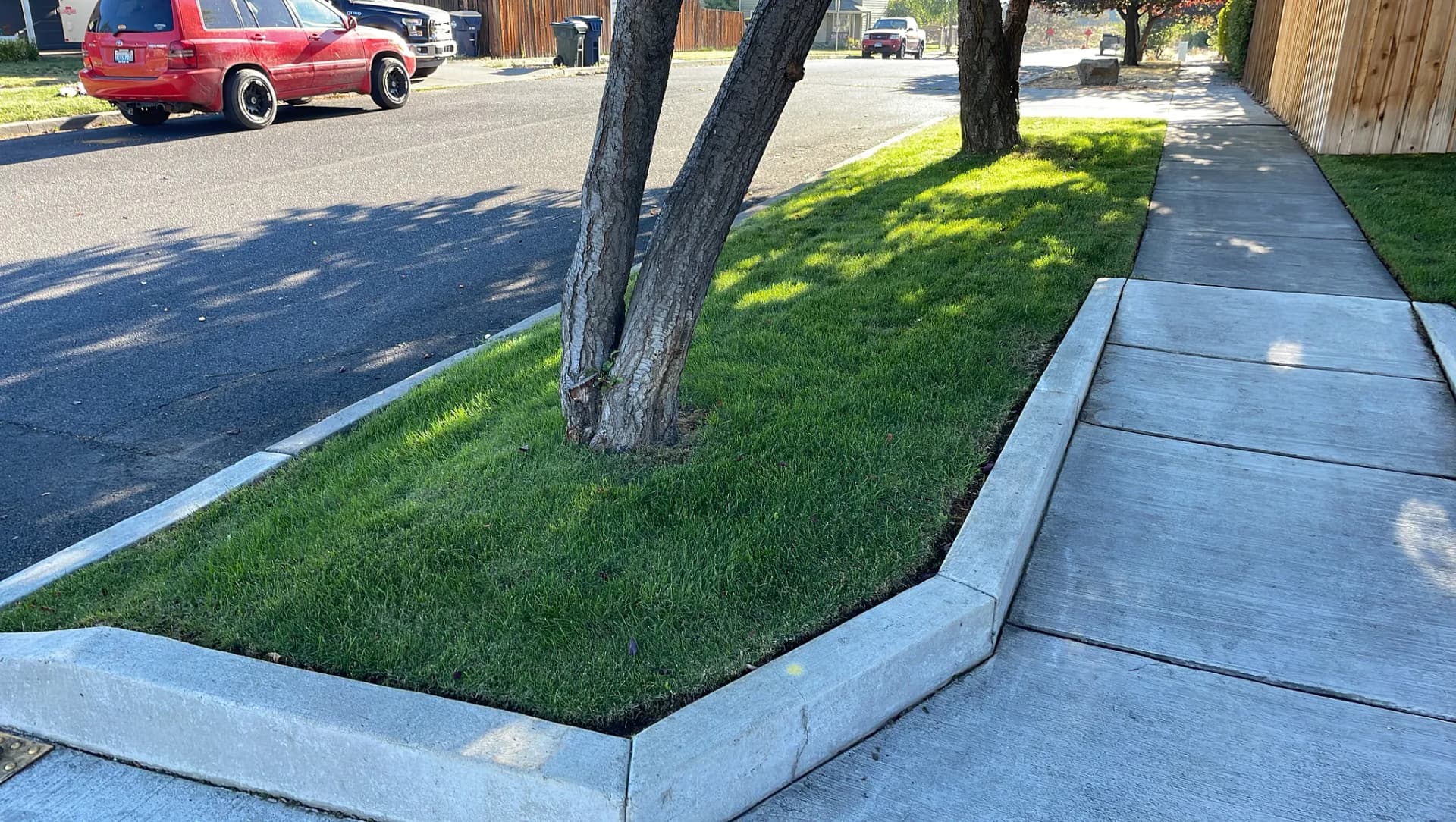 Gallery photos for Lawn Mowing Results We're Proud Of in Bend Oregon: Image #1