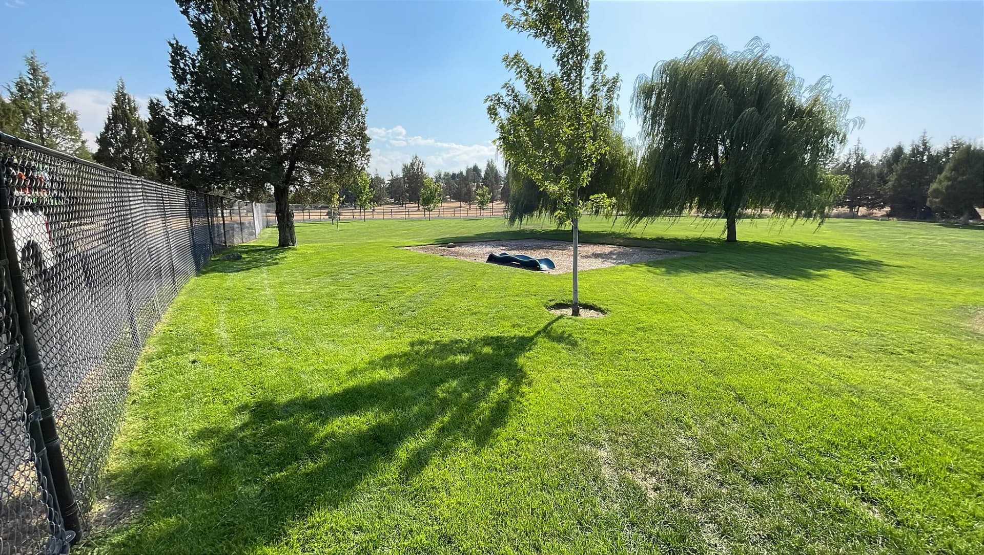 Gallery photos for Residential Lawn Maintenance That Actually Shows Up Every Time: Image #4