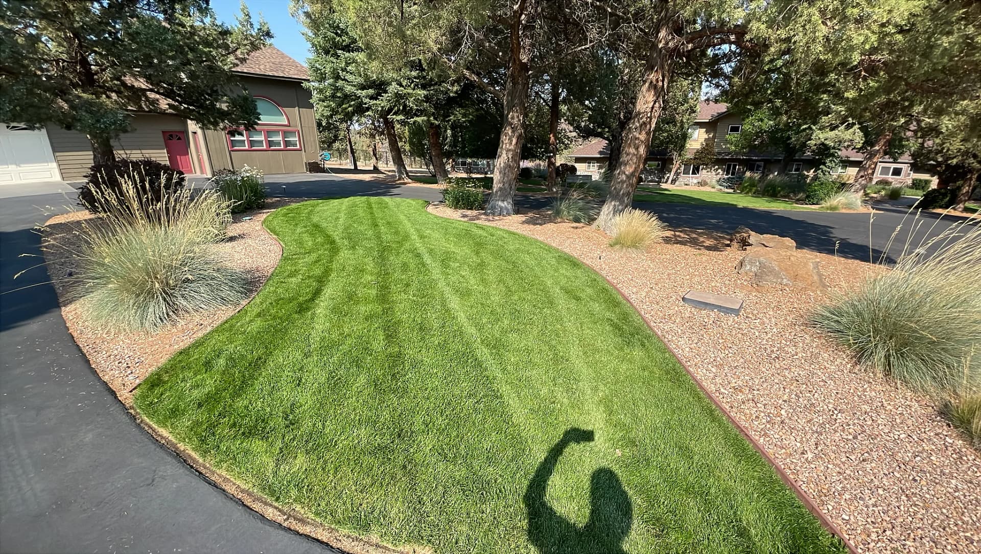 Gallery photos for Residential Lawn Maintenance That Actually Shows Up Every Time: Image #3