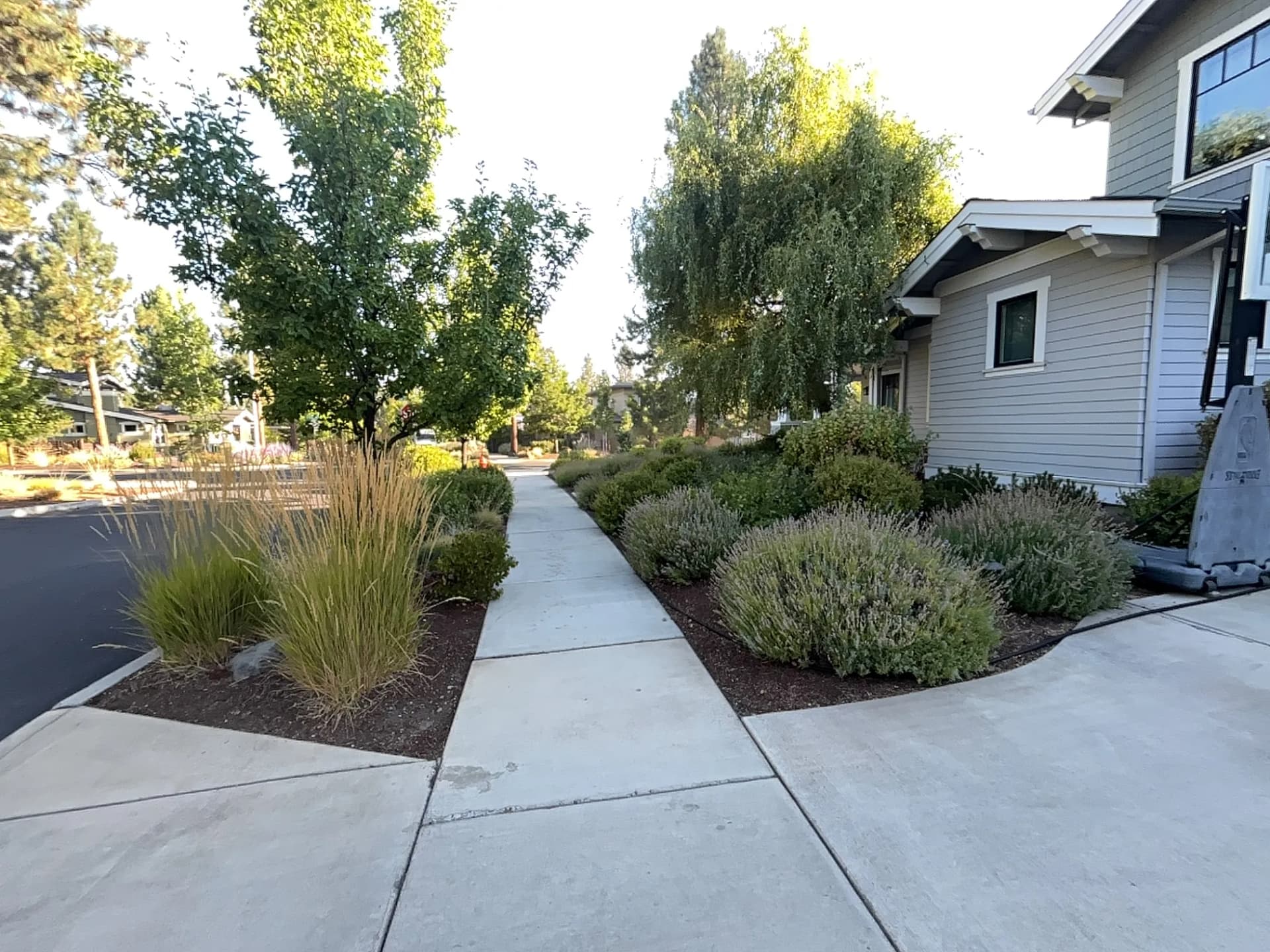 Gallery photos for Weekly Landscape Maintenance Done Right in Bend Oregon: Image #2