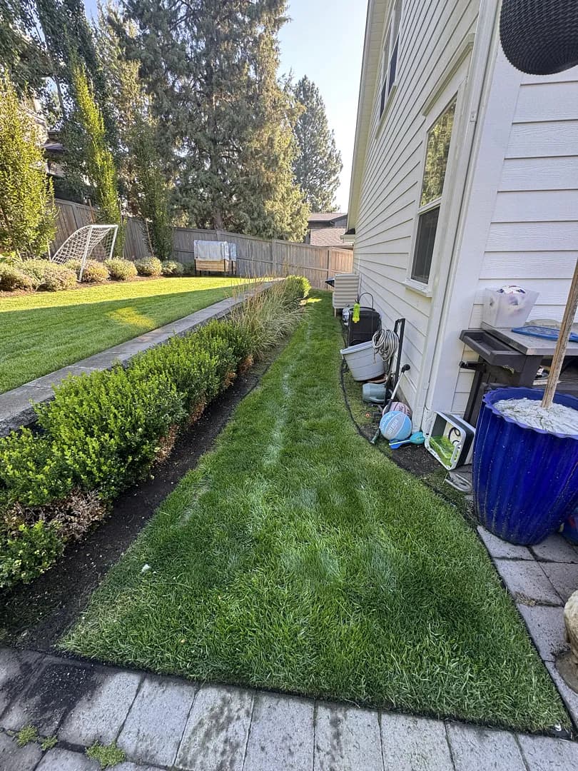 Gallery photos for What Weekly Lawn Care Actually Looks Like in Bend Oregon: Image #1